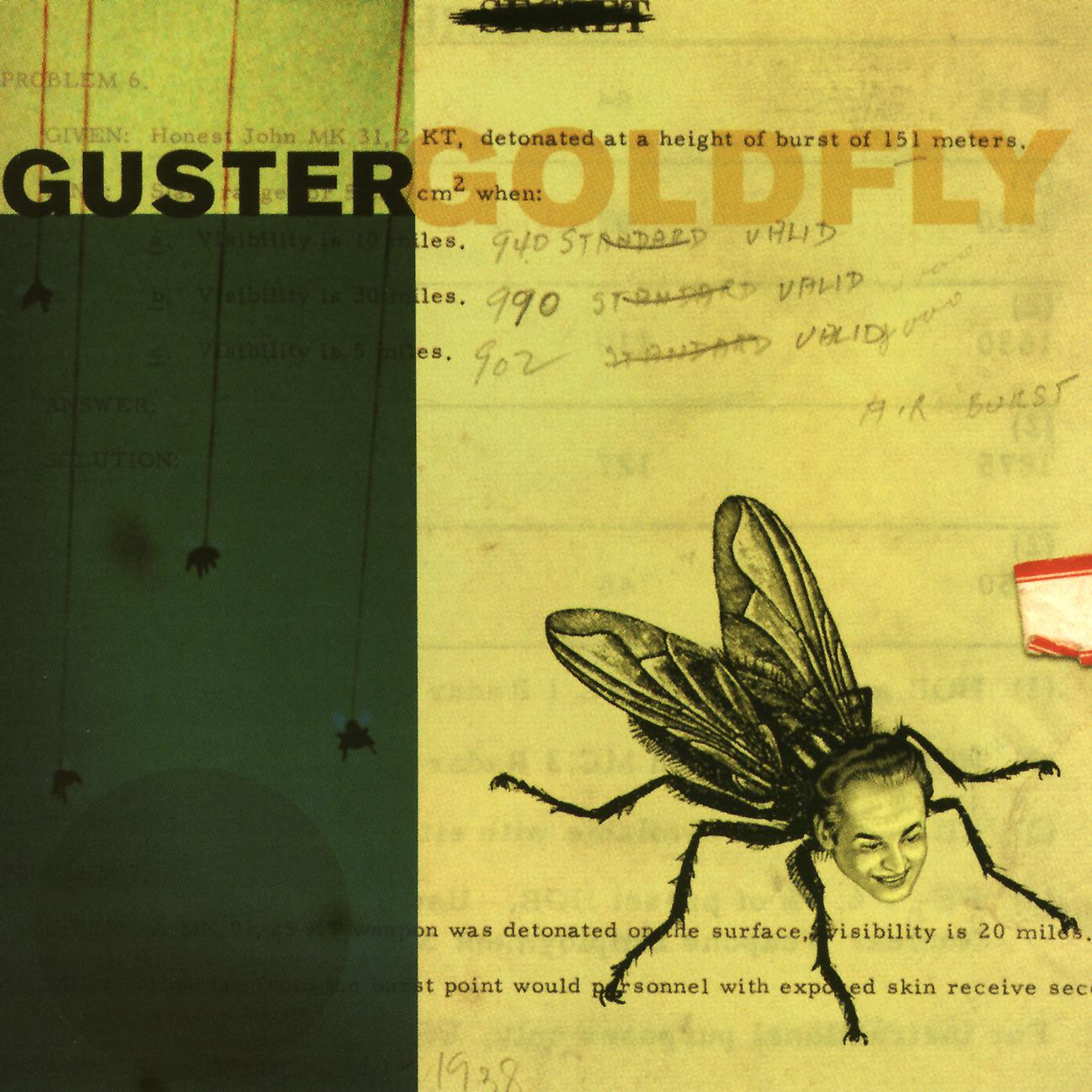 Постер альбома Goldfly