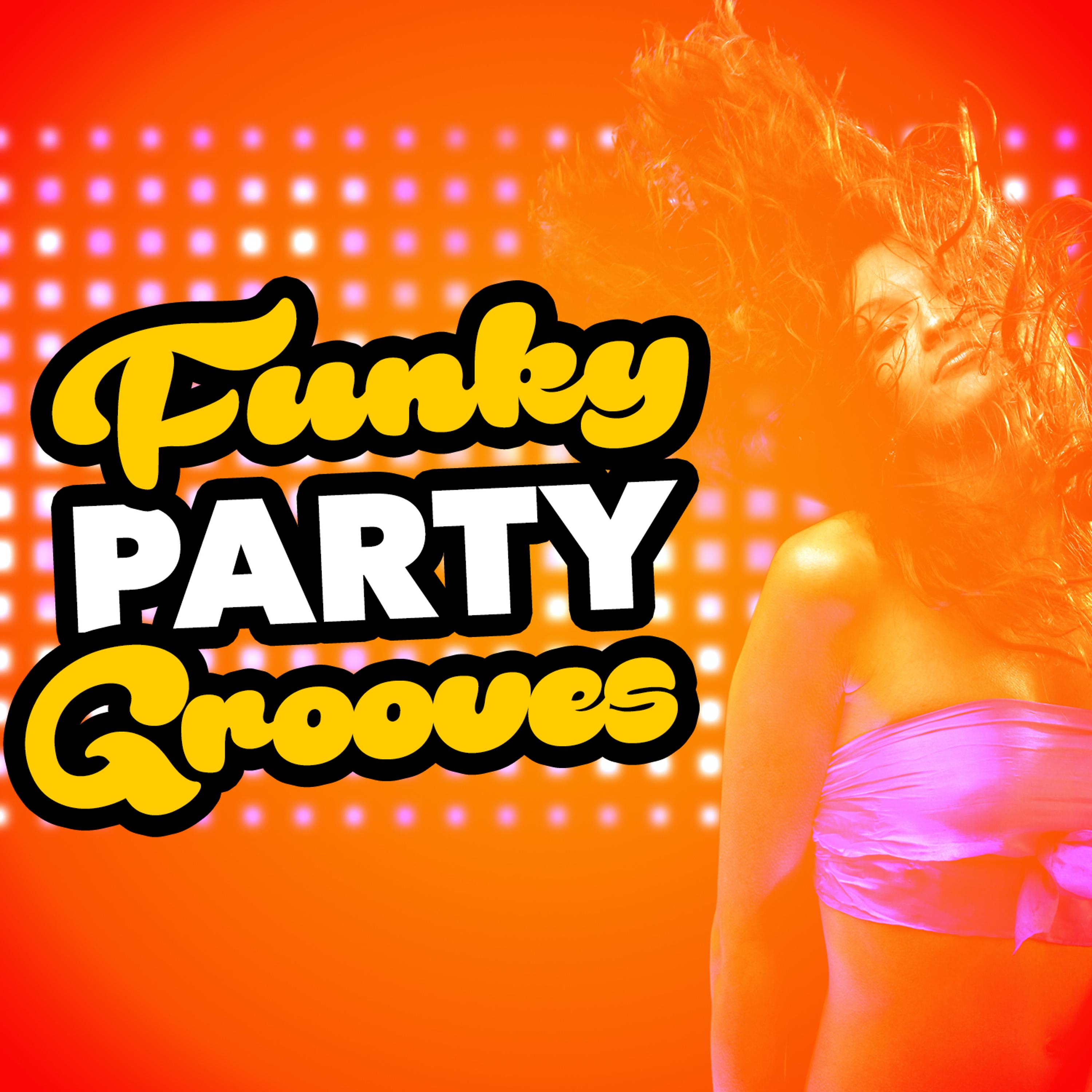 Постер альбома Funky Party Grooves