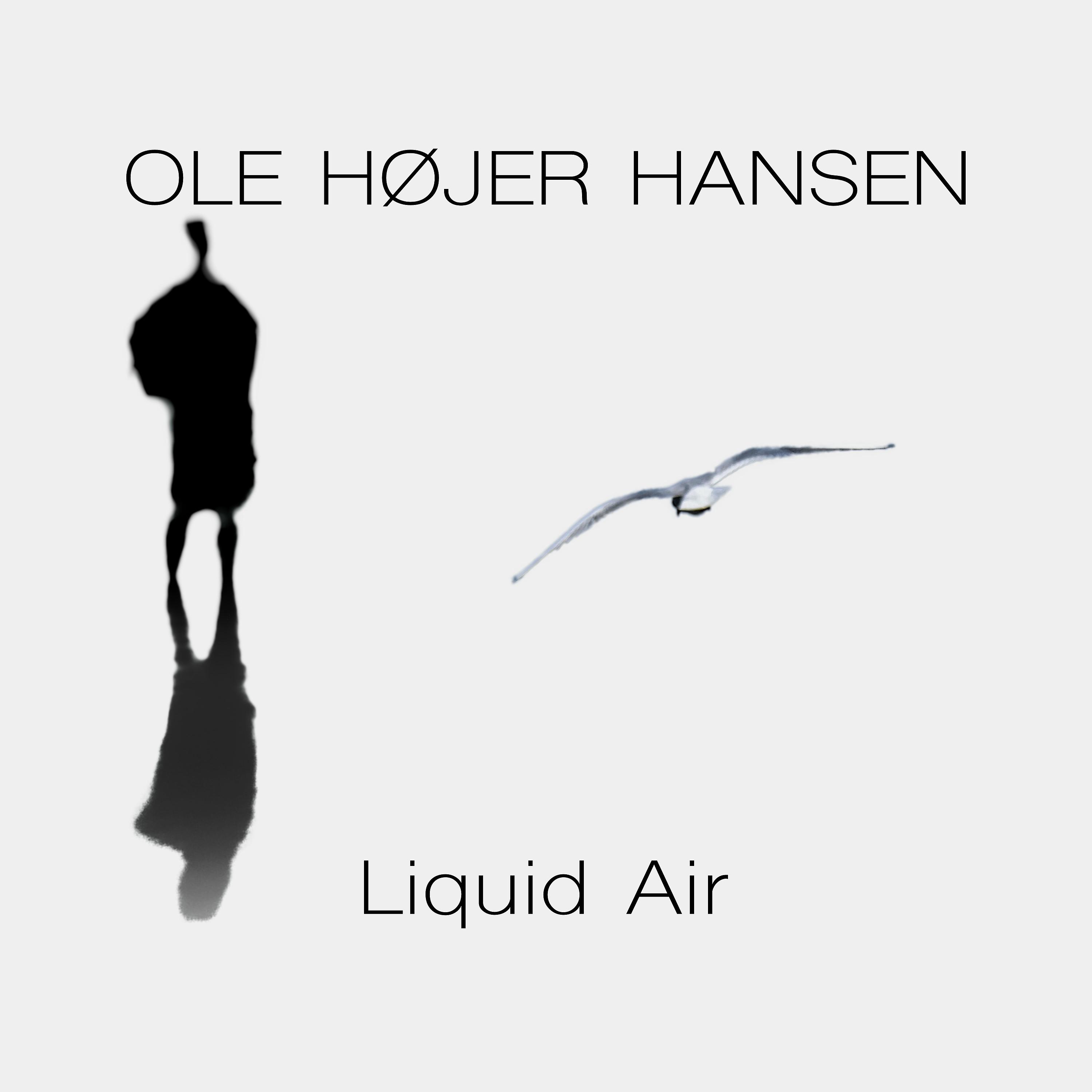 Постер альбома Liquid Air