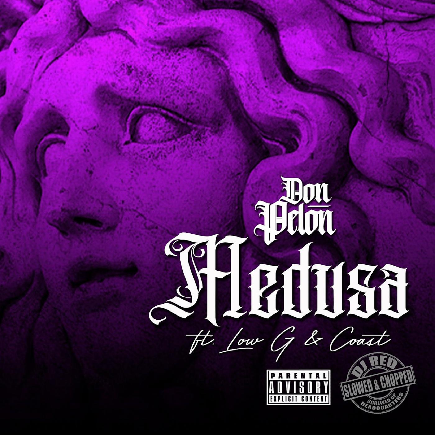 Постер альбома Medusa (Slowed and Chopped)