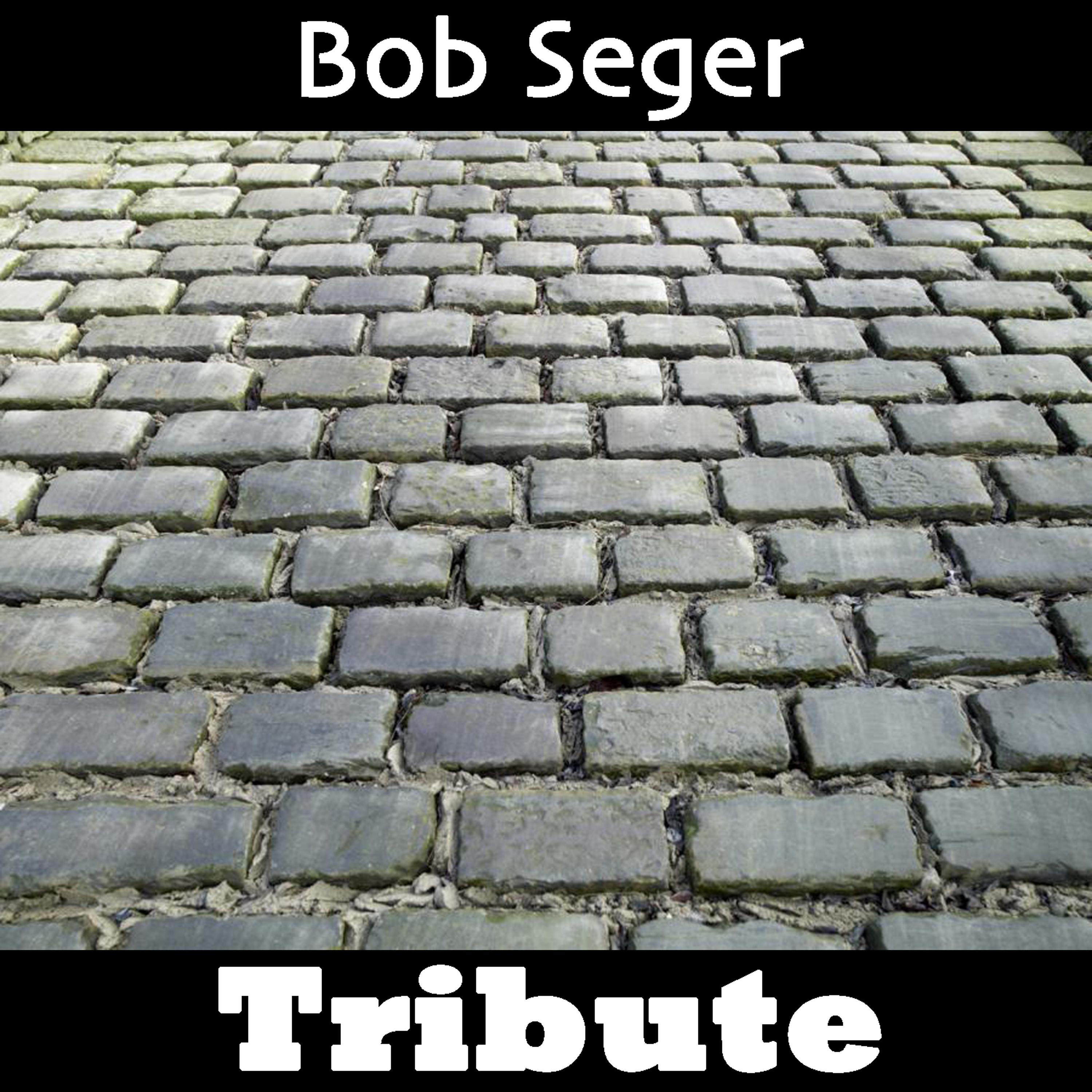 Постер альбома Hollywood Nights: Tribute To Bob Seger