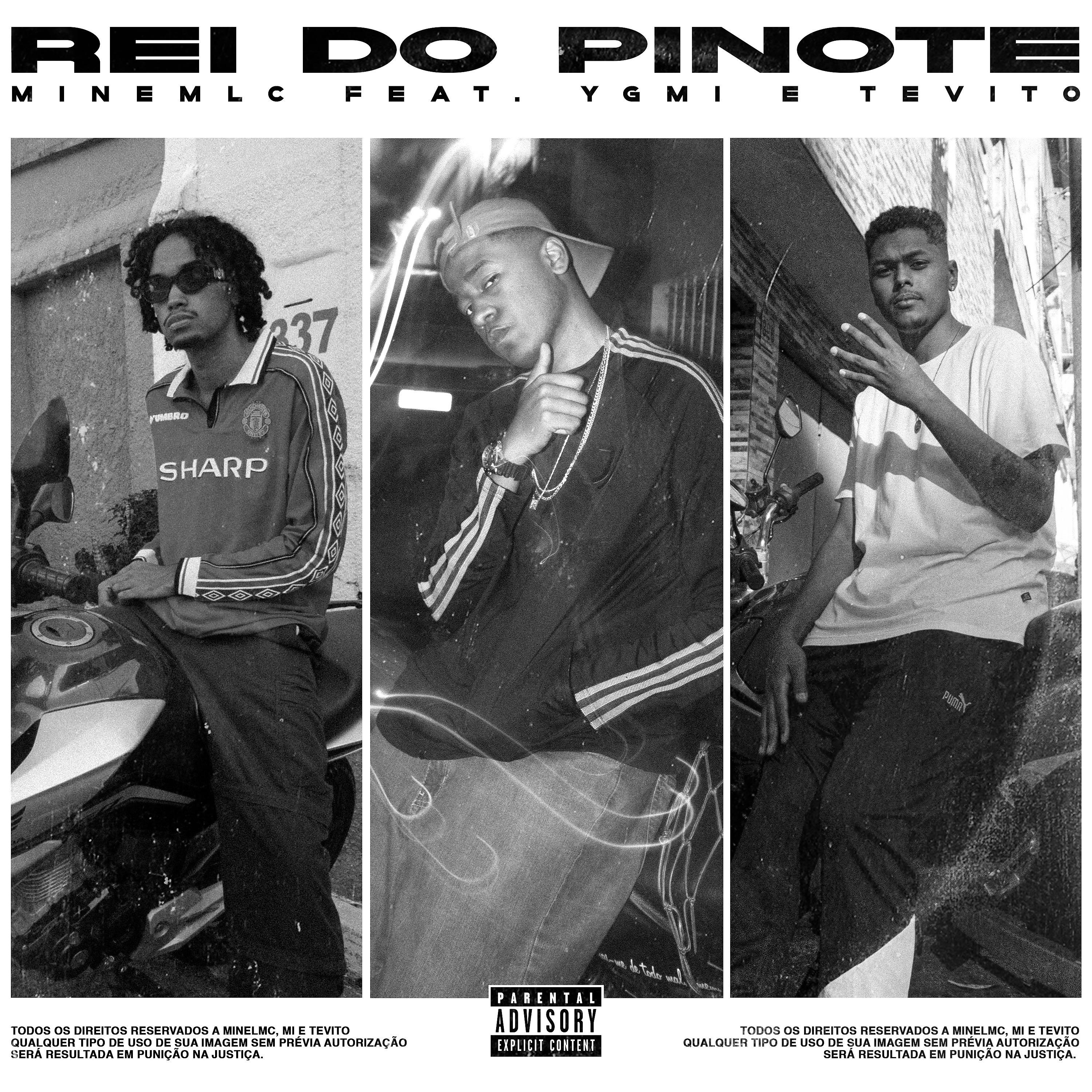 Постер альбома Rei do Pinote