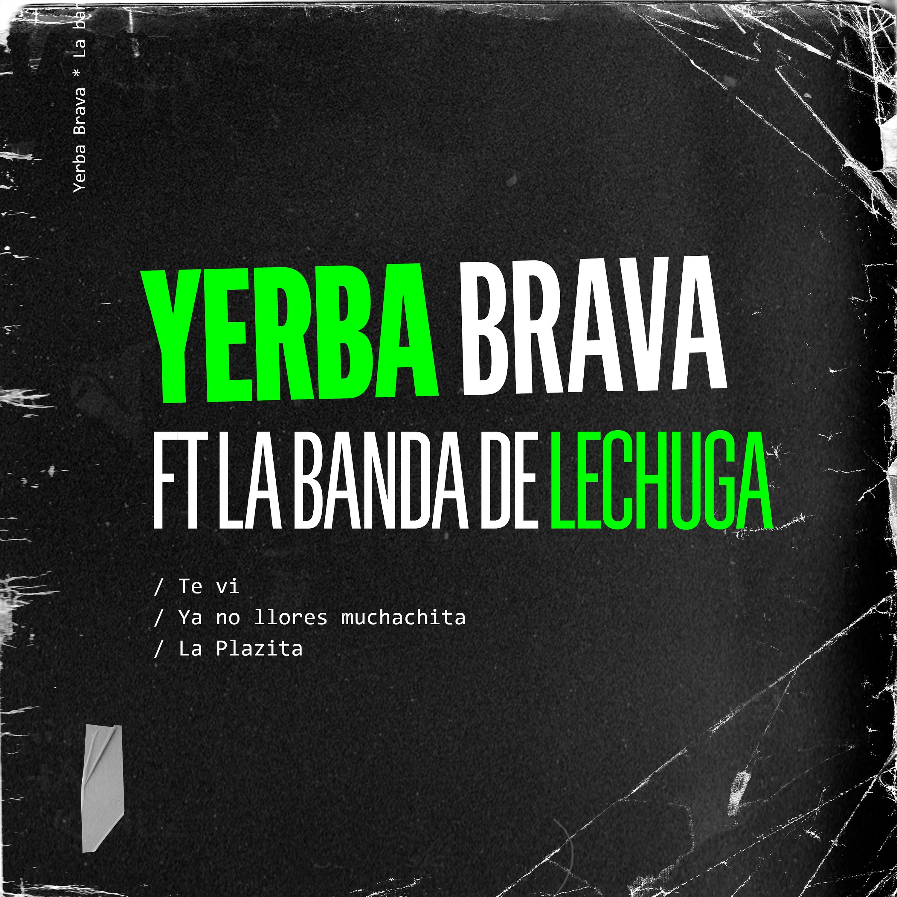 Постер альбома Te Vi / Ya No Llores Muchachita / La Plazita