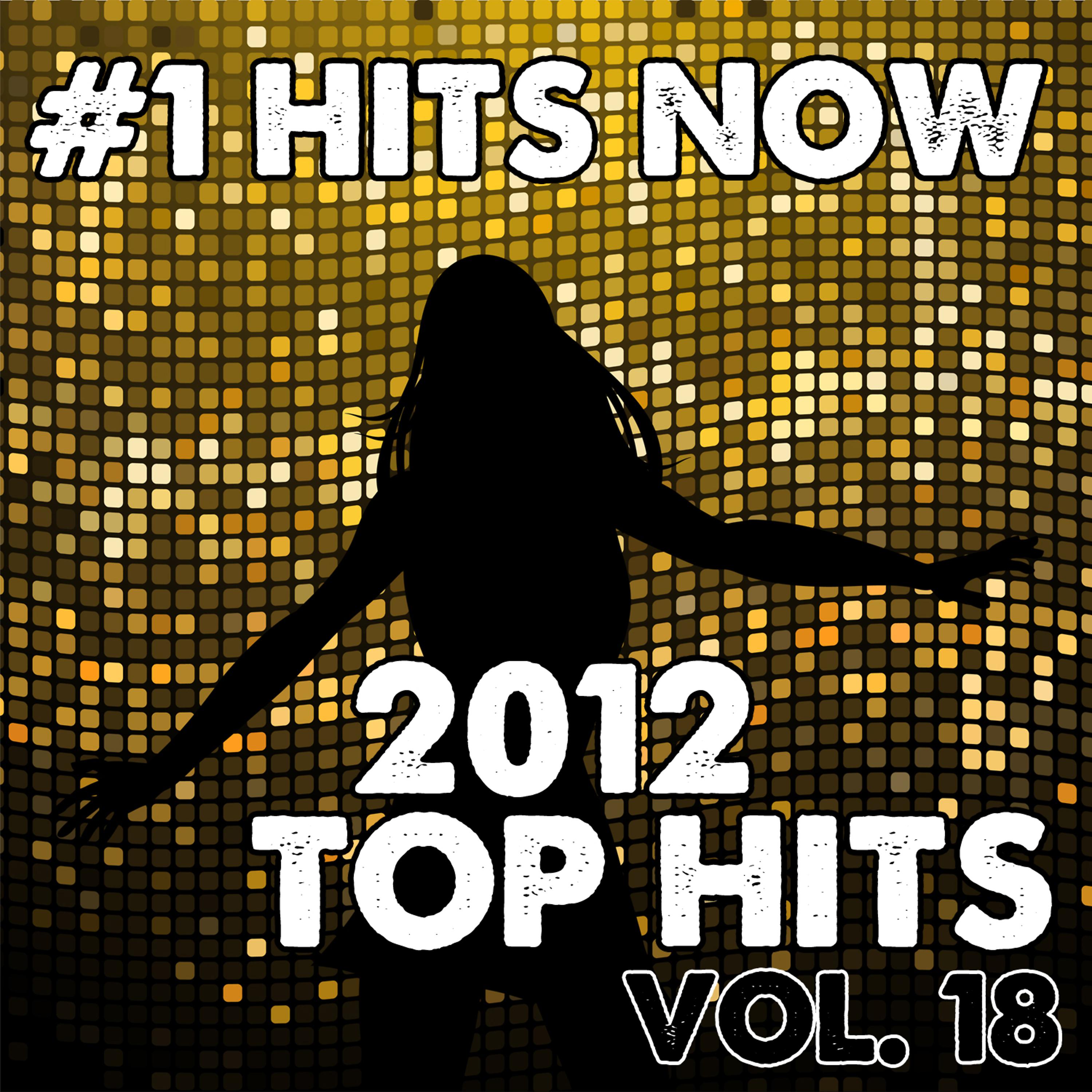 Постер альбома 2012 Top Hits, Vol. 18