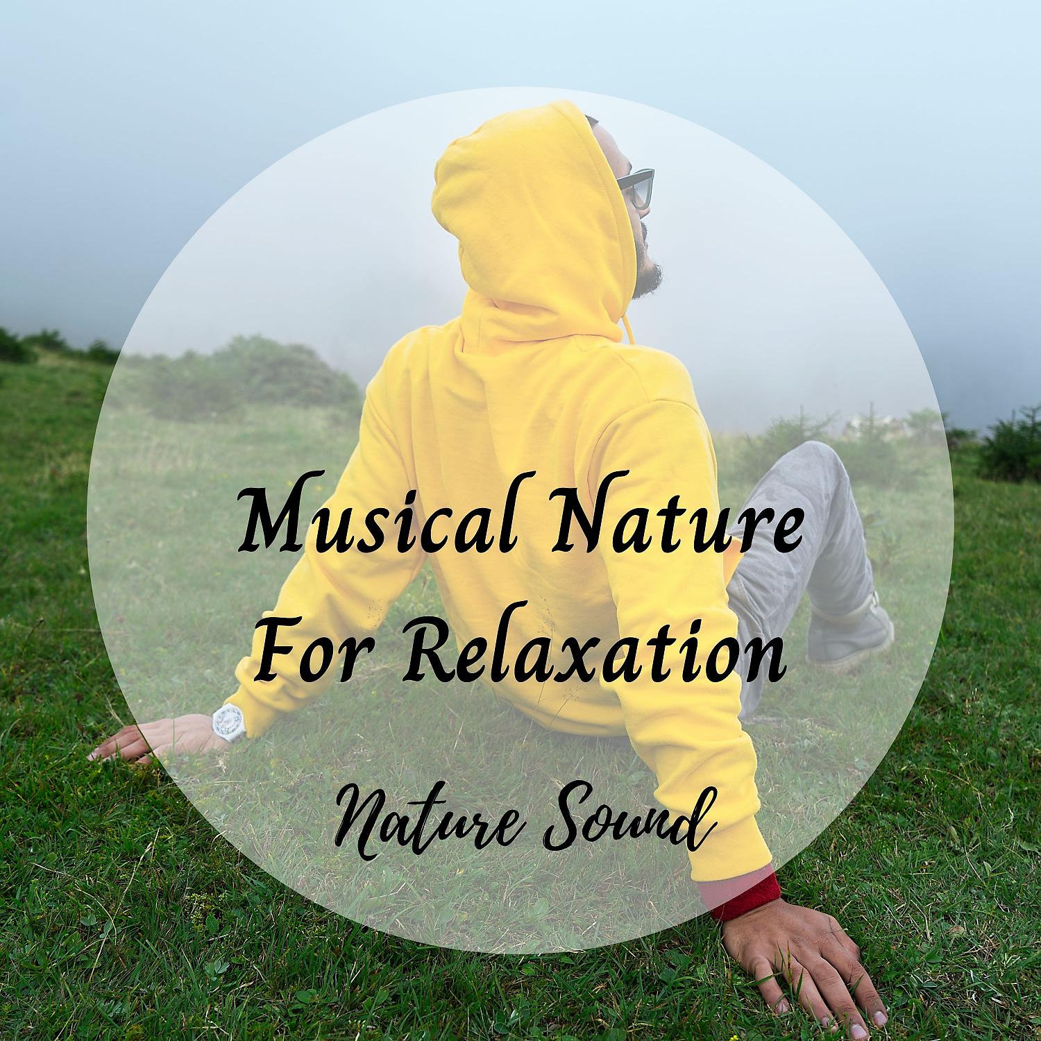 Постер альбома Nature Sound: Musical Nature For Relaxation