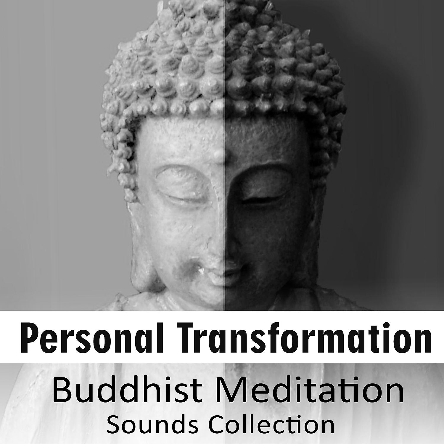 Постер альбома Personal Transformation: Buddhist Meditation Sounds Collection, Music for Yoga & Mindfulness, Deep Relaxation, Mind, Body Control & Harmony: Buddhist Meditation Sounds Collection, Music for Yoga & Mindfulness, Deep Relaxation, Mind, Body Control & Harmony