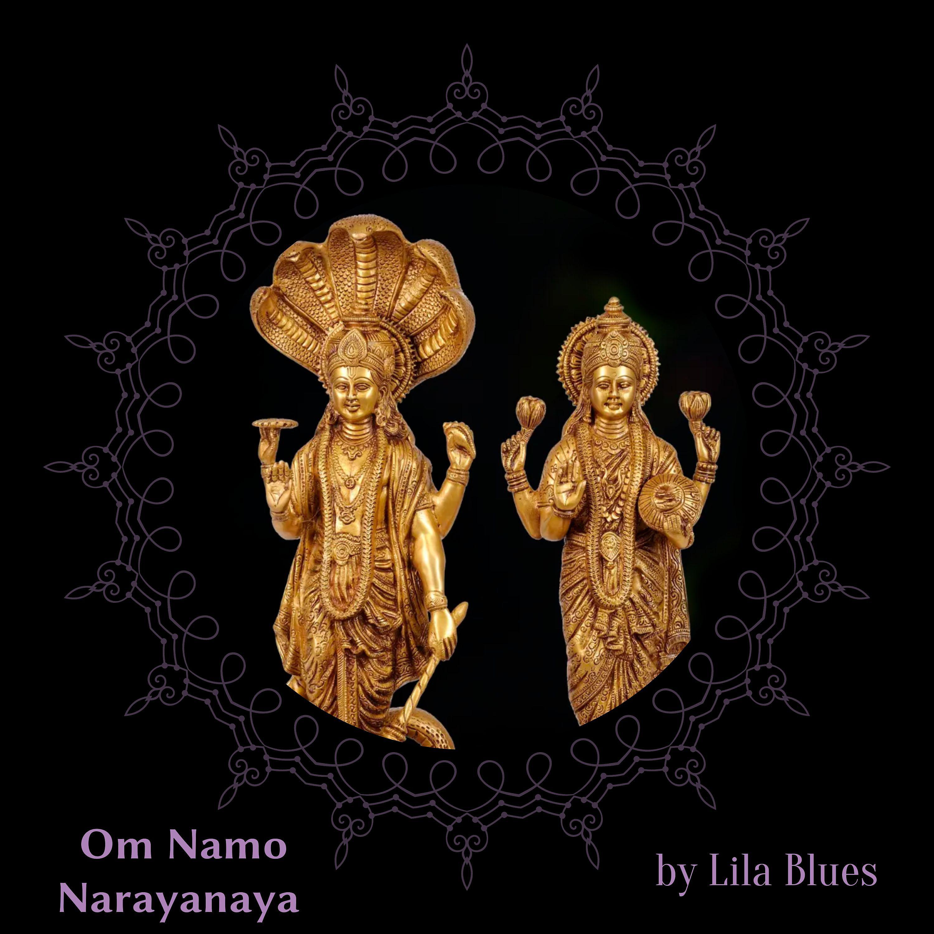Постер альбома Om Namo Narayanaya