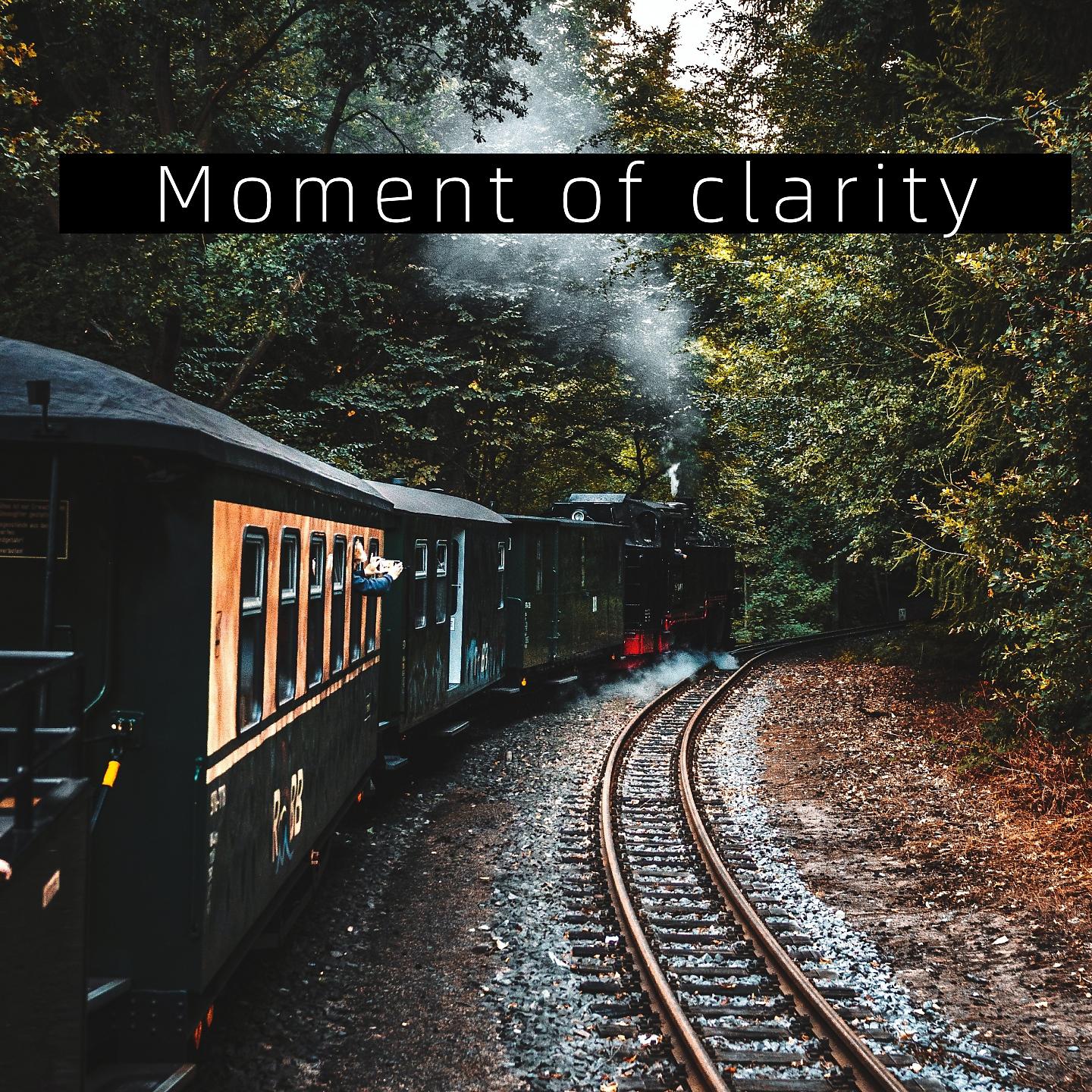Постер альбома Moment of clarity