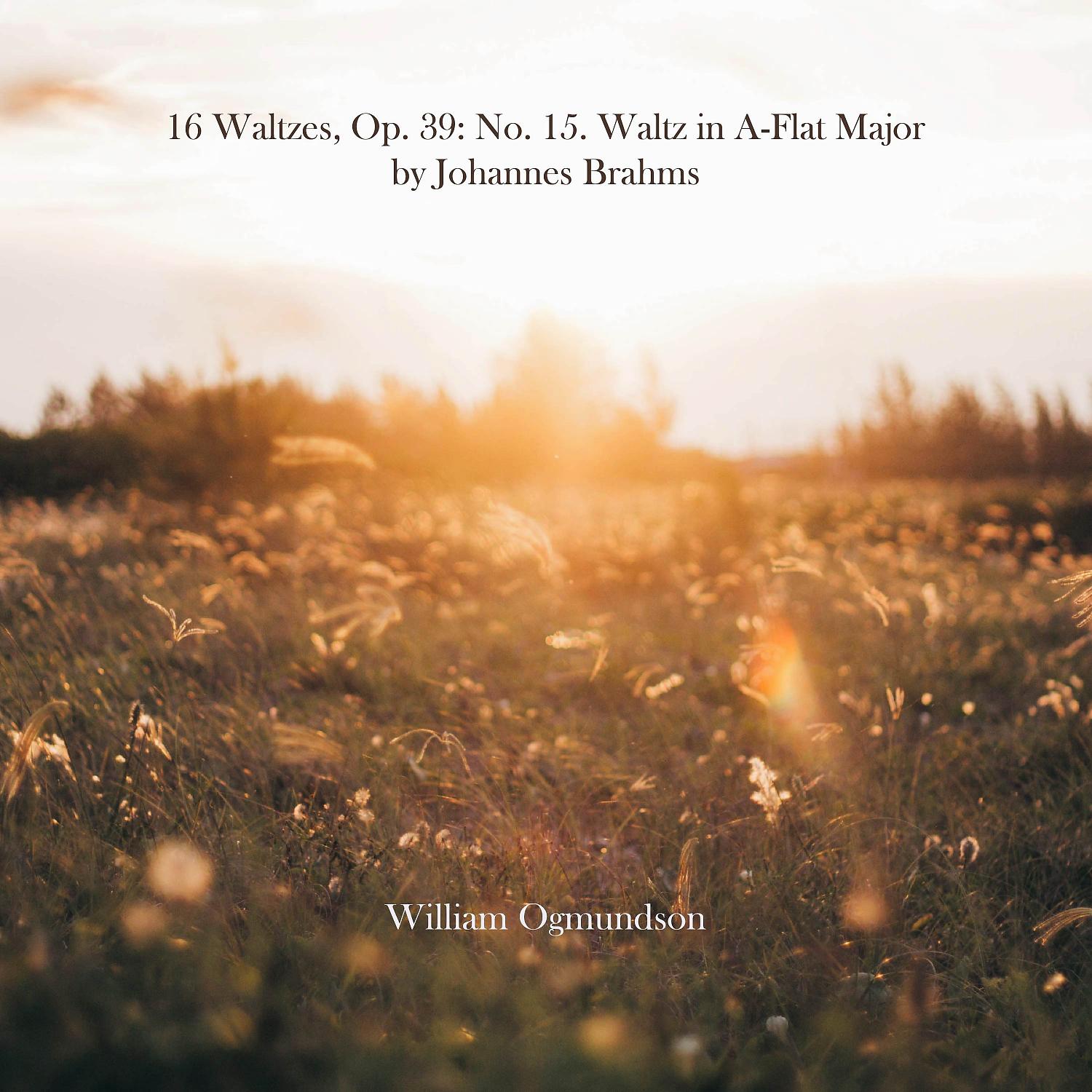 Постер альбома 16 Waltzes, Op. 39: No. 15. Waltz in A-Flat Major