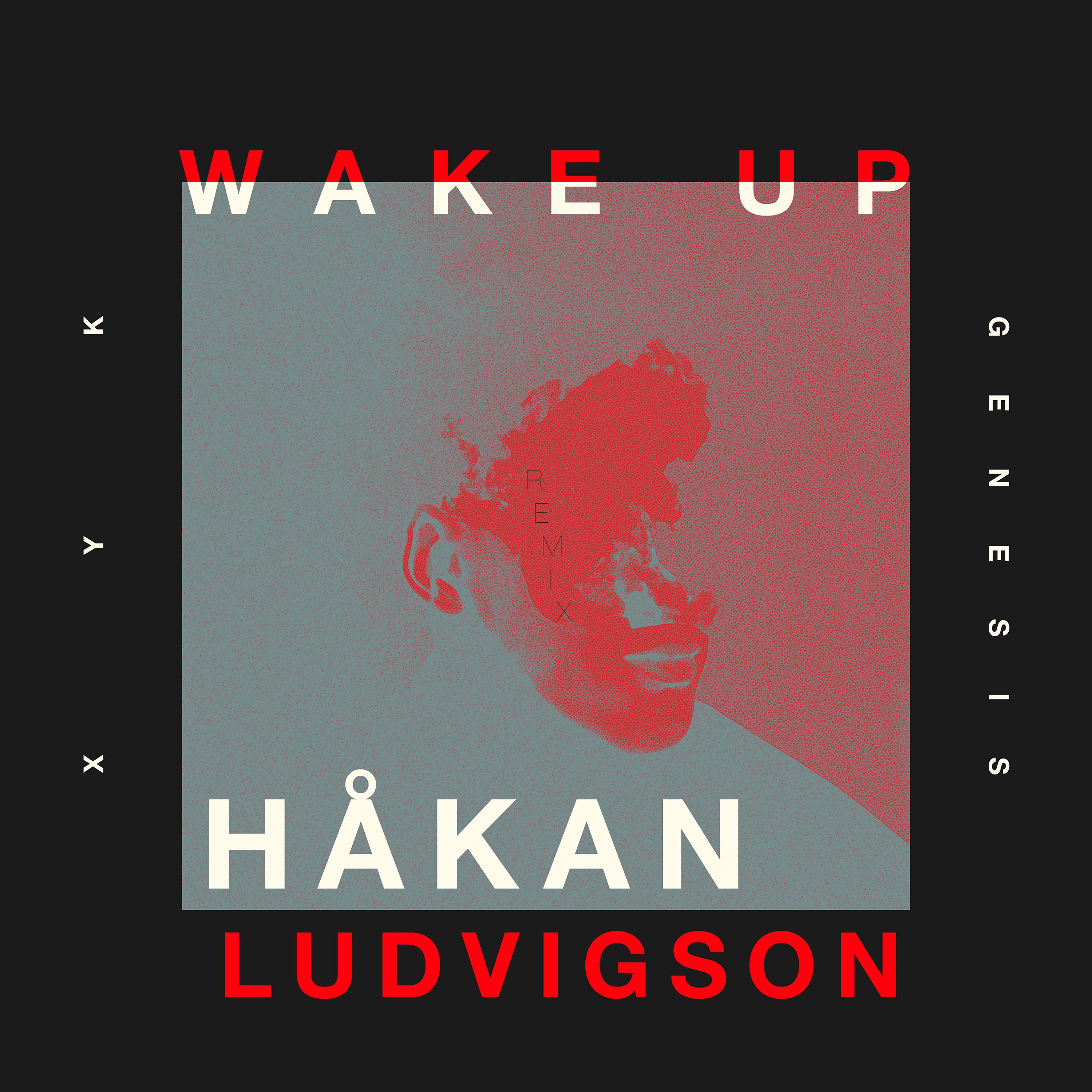 Постер альбома Wake Up (Håkan Ludvigson Remix)