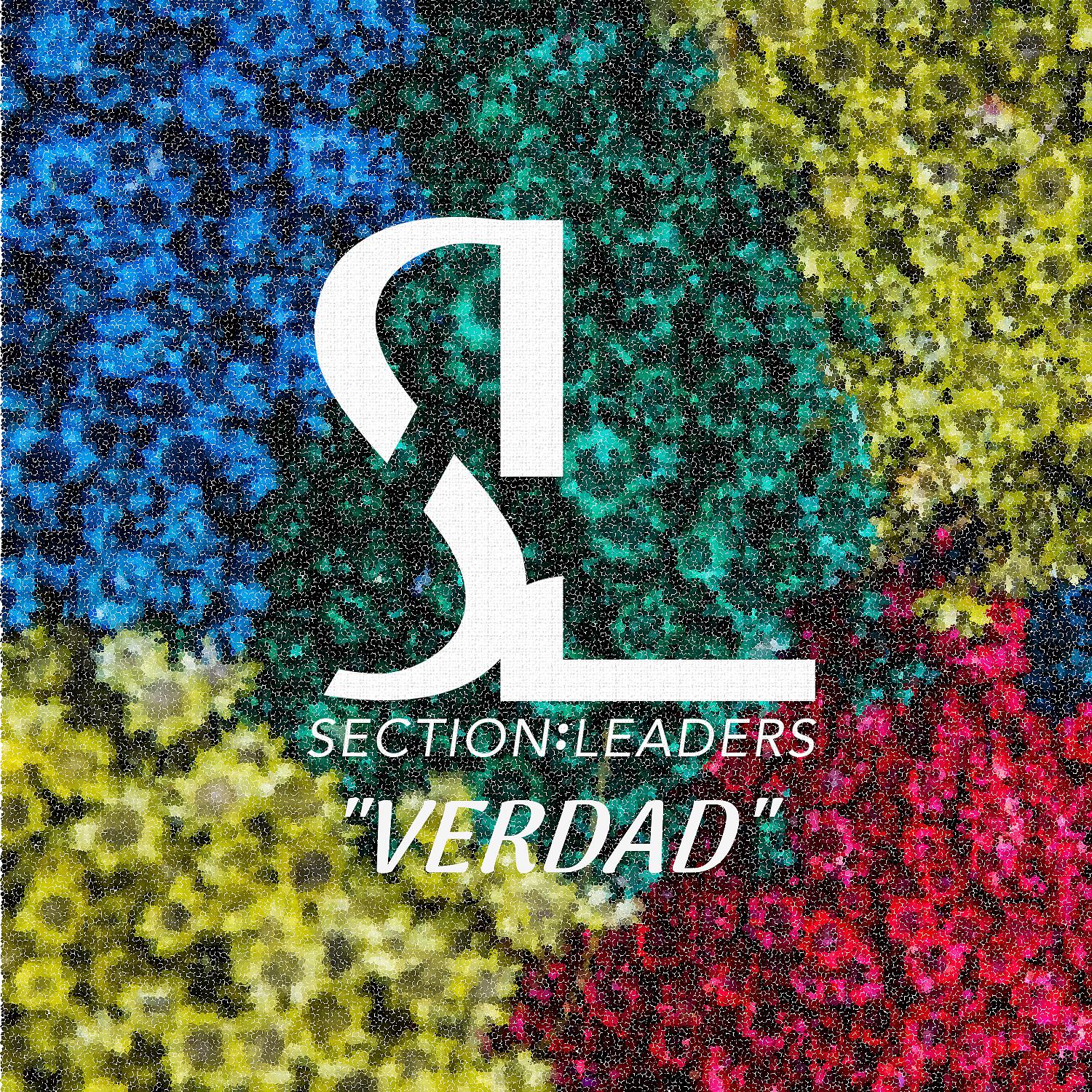 Постер альбома Verdad