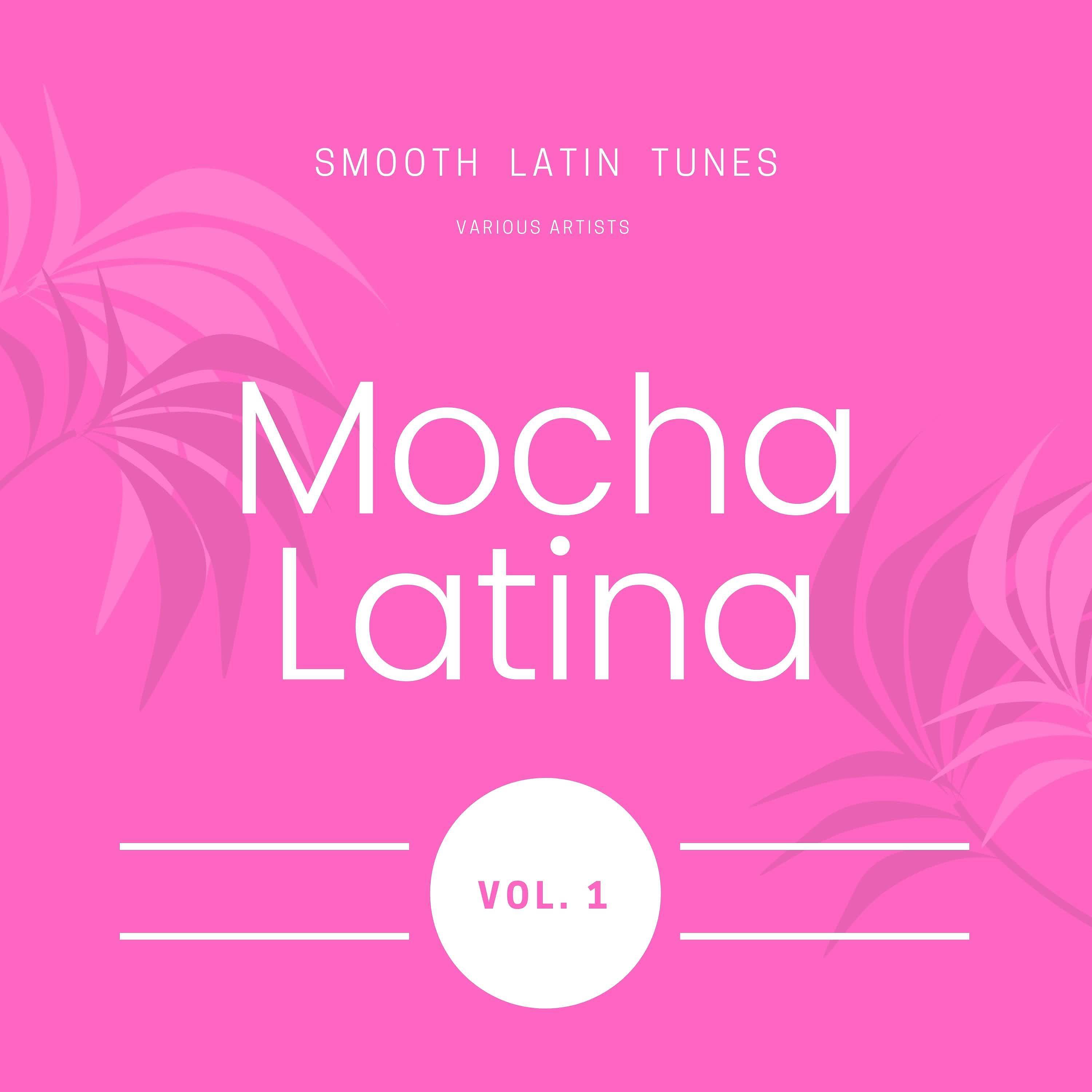 Постер альбома Mocha Latina (Smooth Latin Tunes), Vol. 1