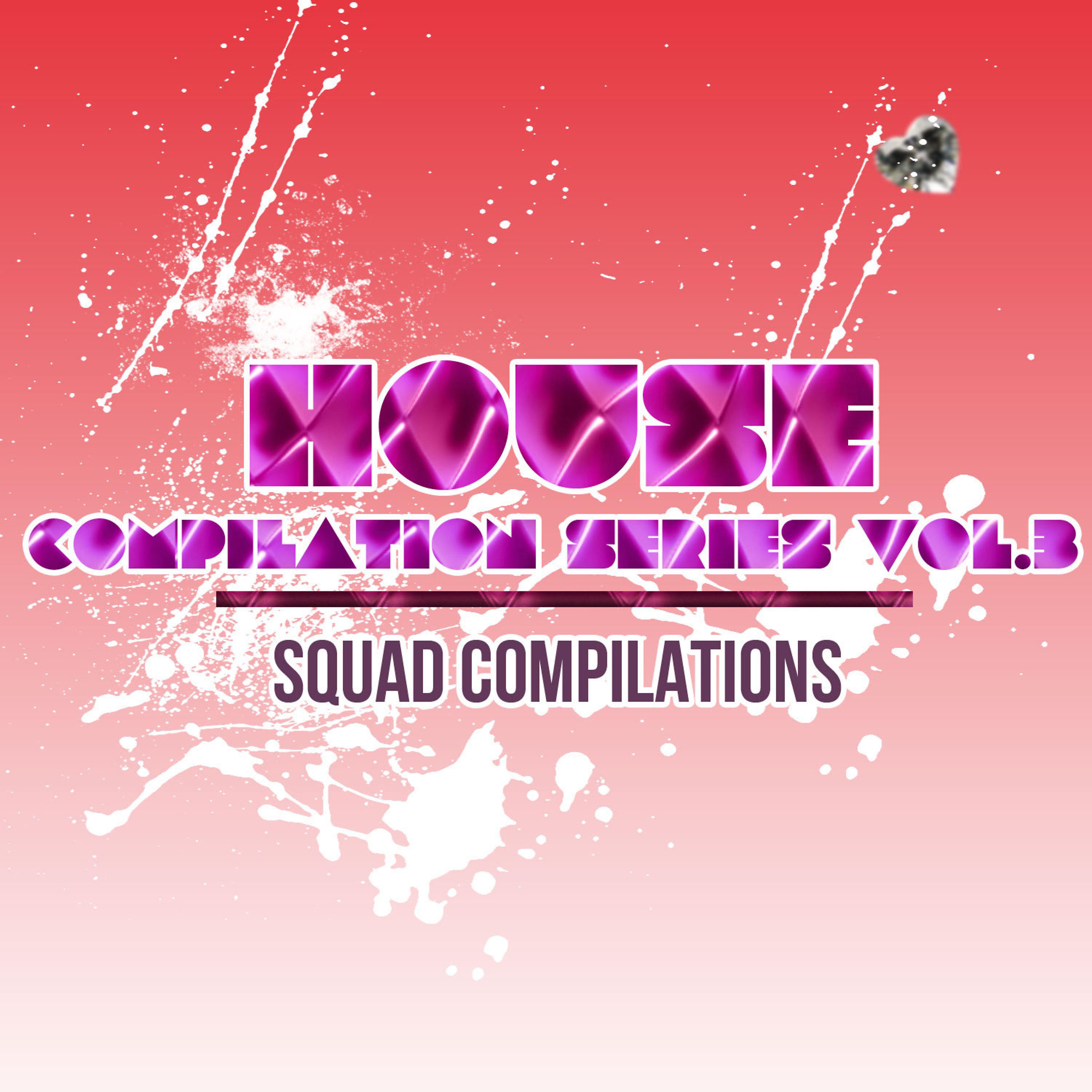Постер альбома House Compilation Series Vol. 3