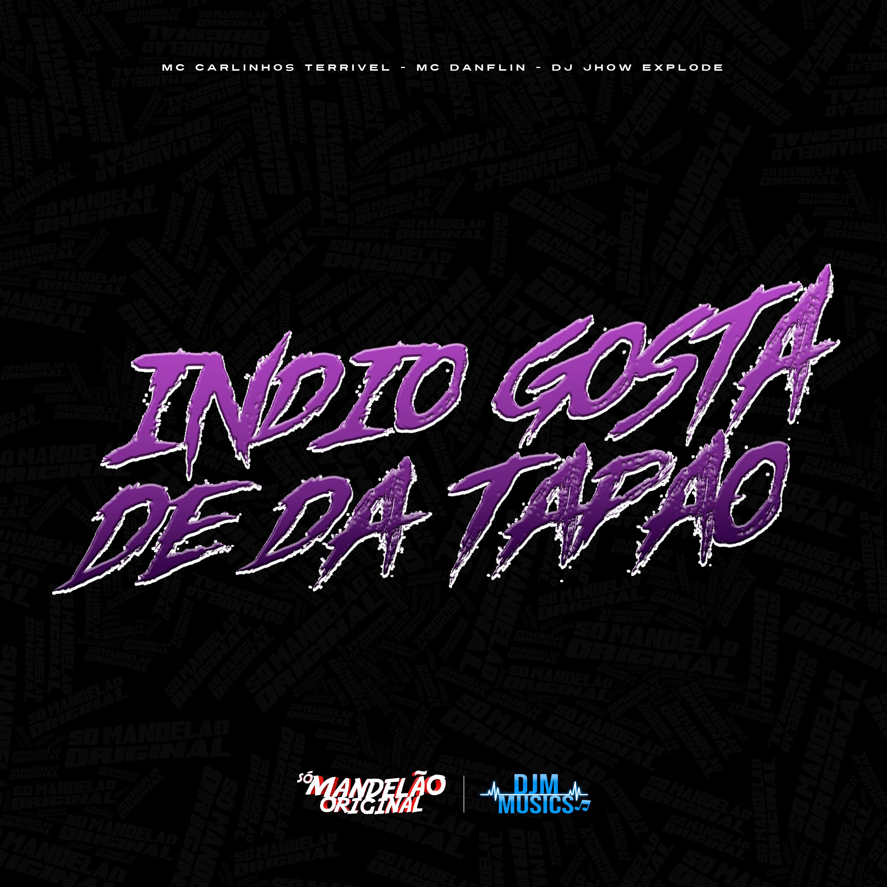 Постер альбома Indio Gosta de da Tapao