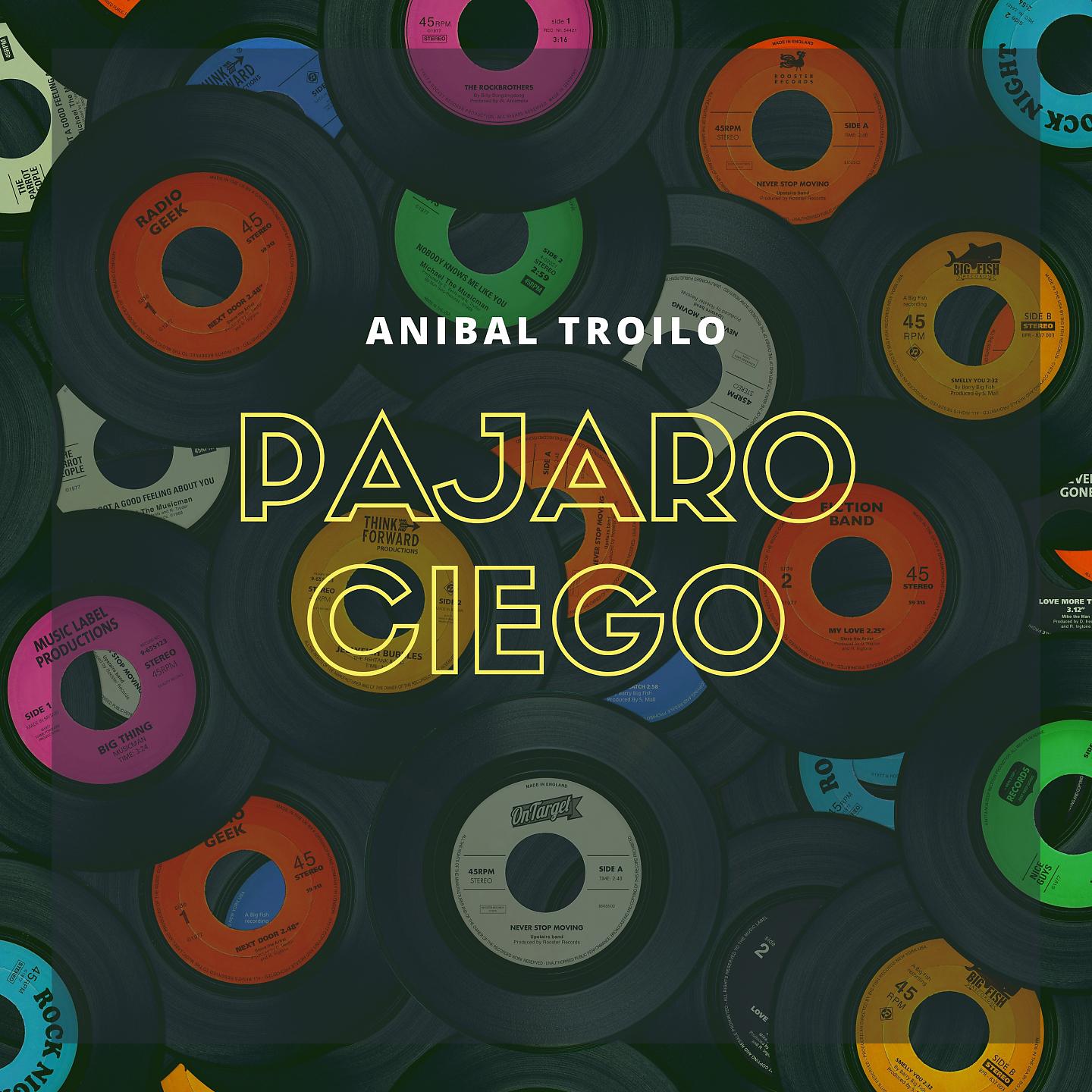 Постер альбома Pajaro Ciego