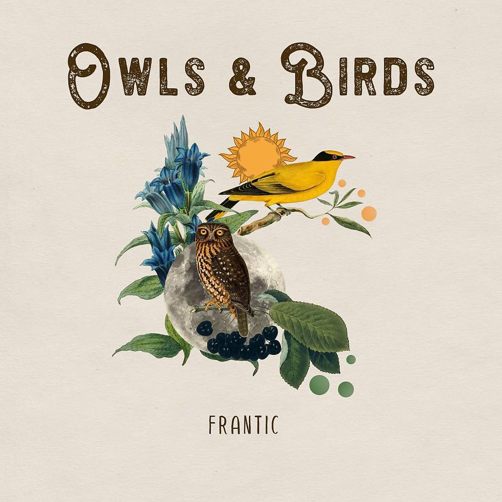 Постер альбома Owls & Birds