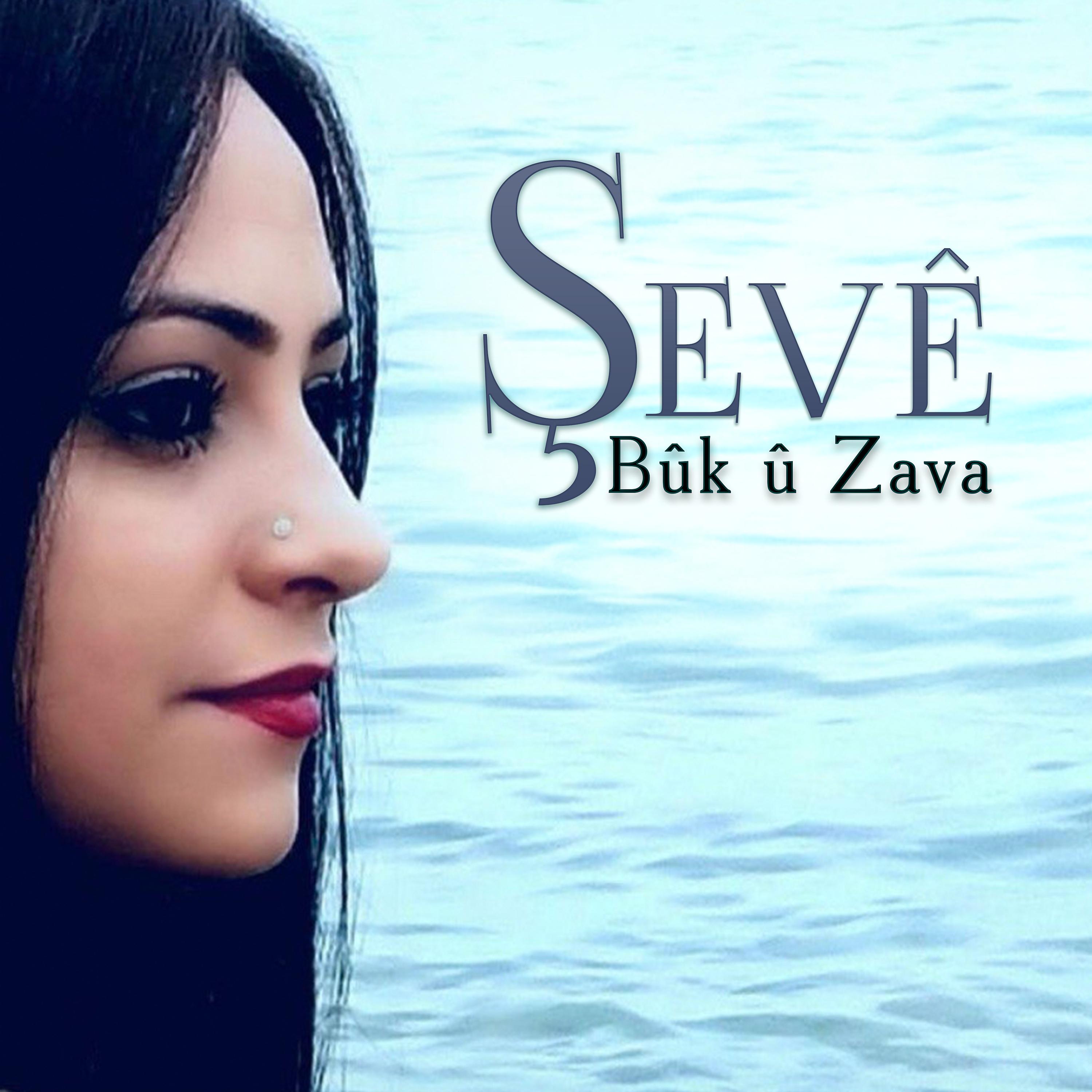 Постер альбома Bûk û Zava