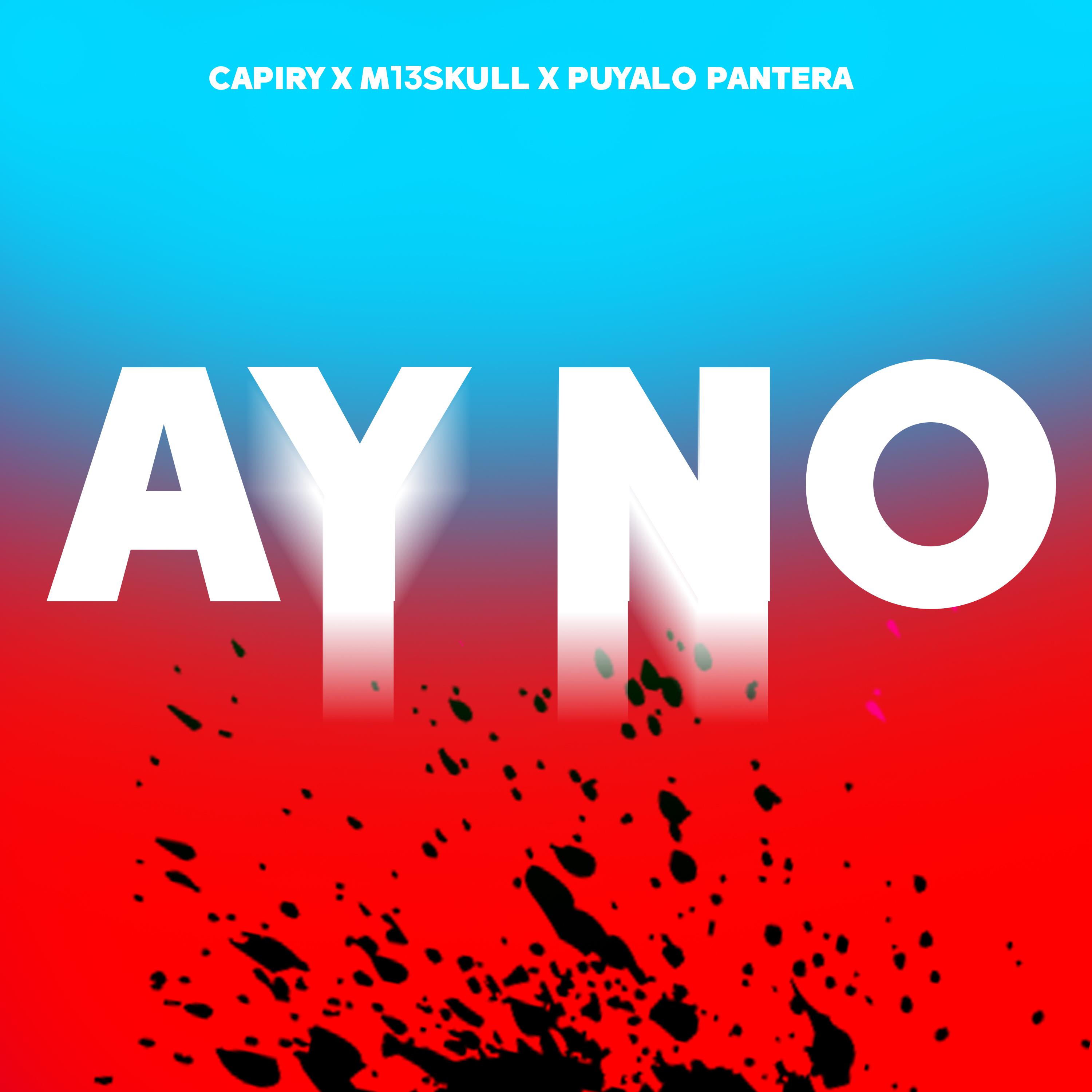 Постер альбома Ay No