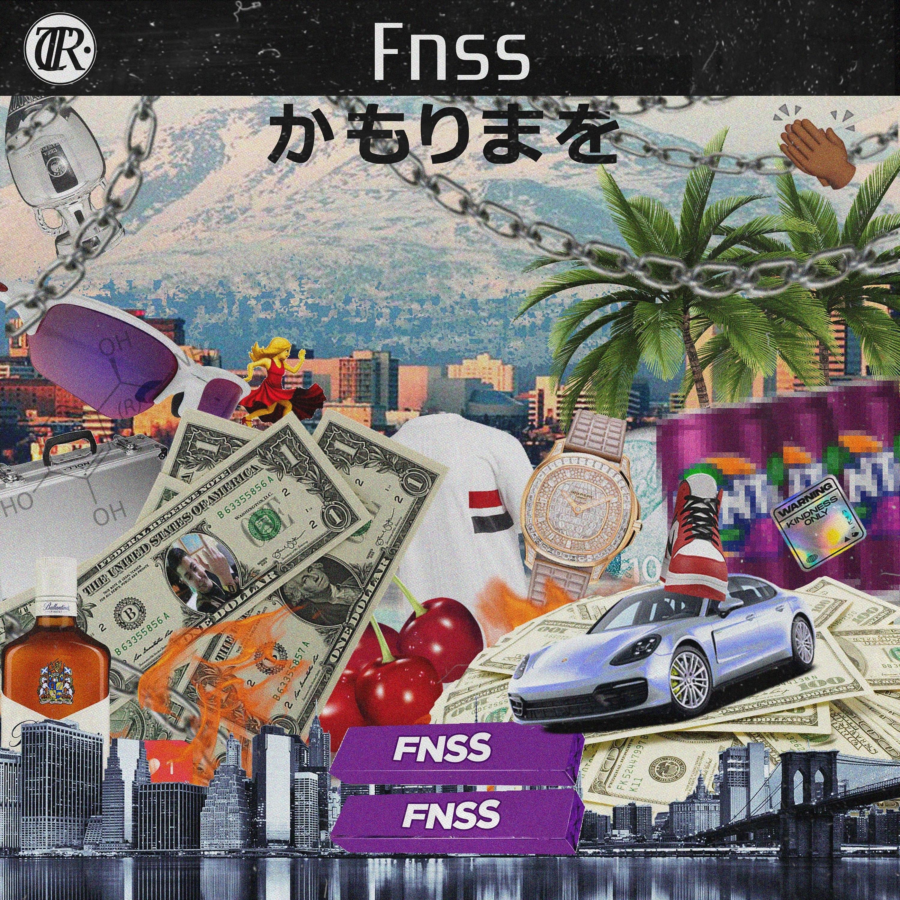 Постер альбома FNSS