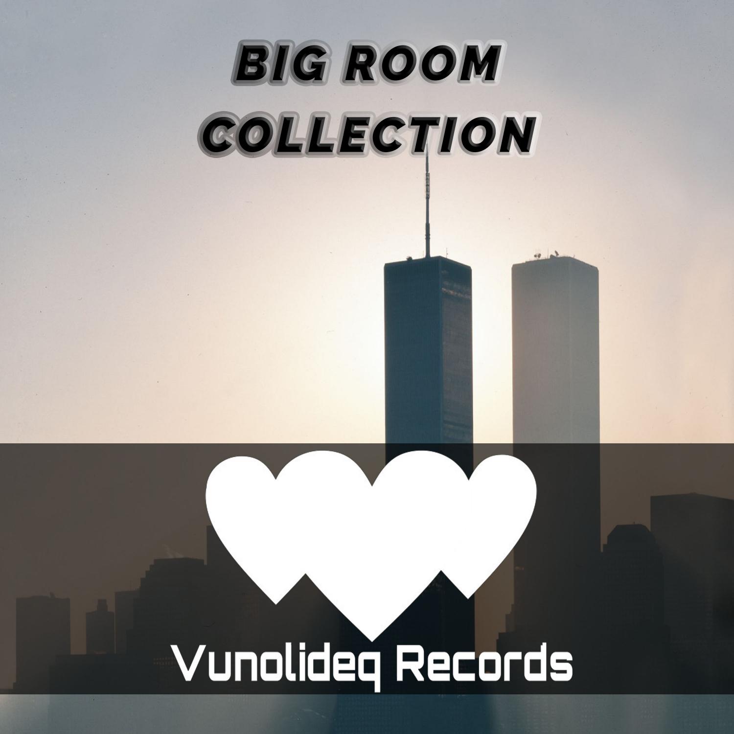 Постер альбома Big Room Collection