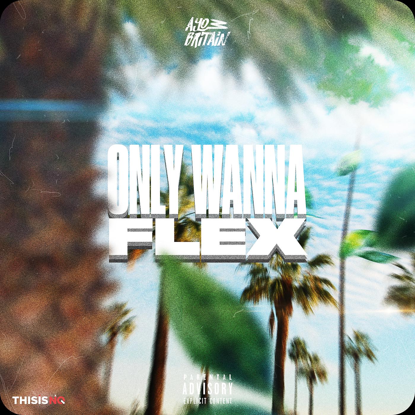 Постер альбома Only Wanna Flex