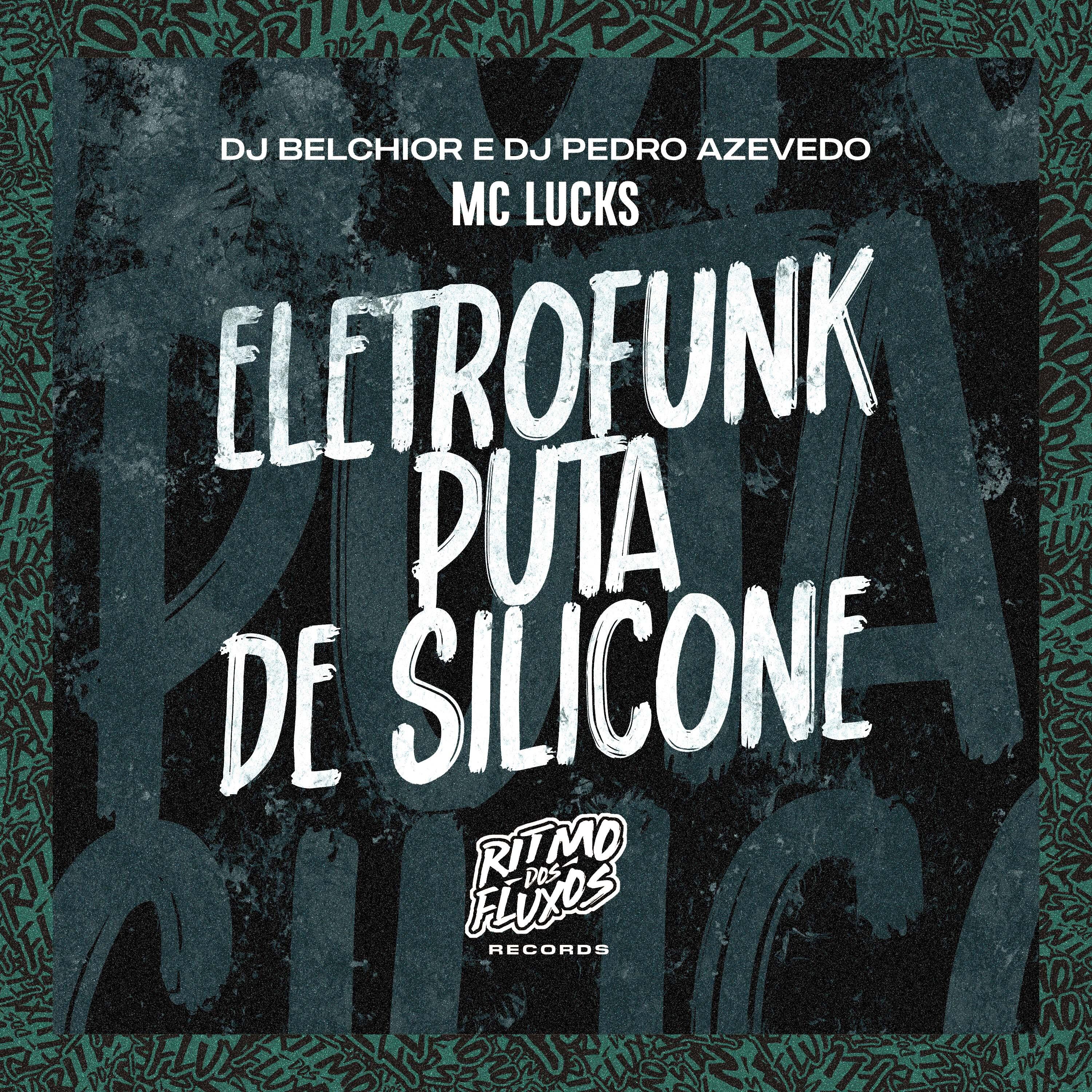 Постер альбома Eletrofunk Puta de Silicone