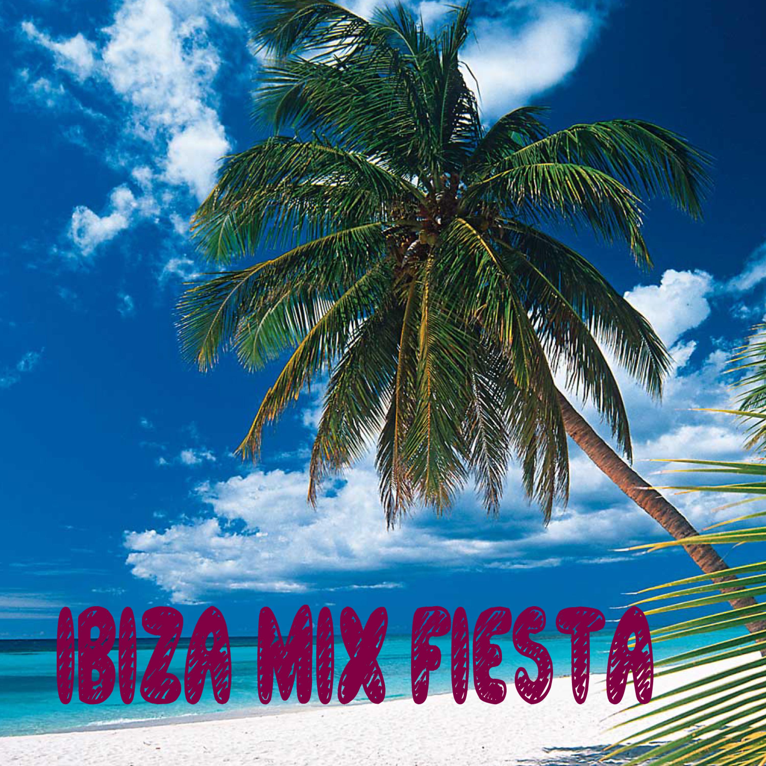 Постер альбома Ibiza Mix Fiesta