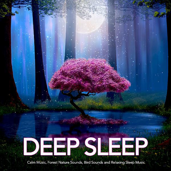 Постер альбома Deep Sleep: Calm Music, Forest Nature Sounds, Bird Sounds and Relaxing Sleep Music