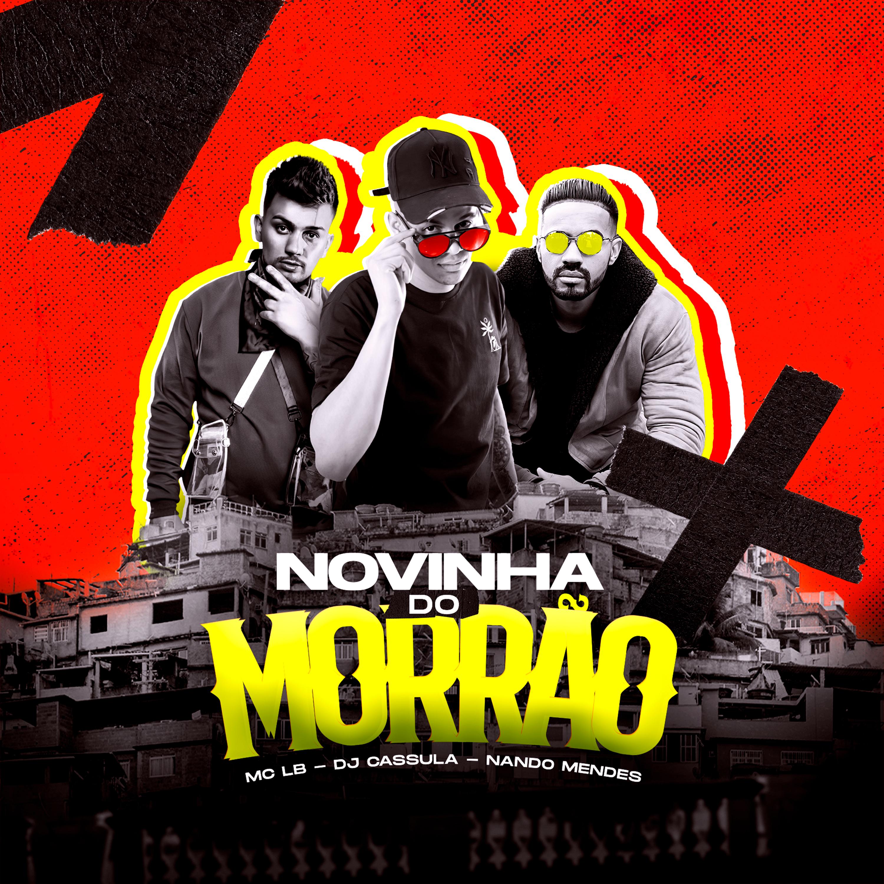 Постер альбома Novinha do Morrão