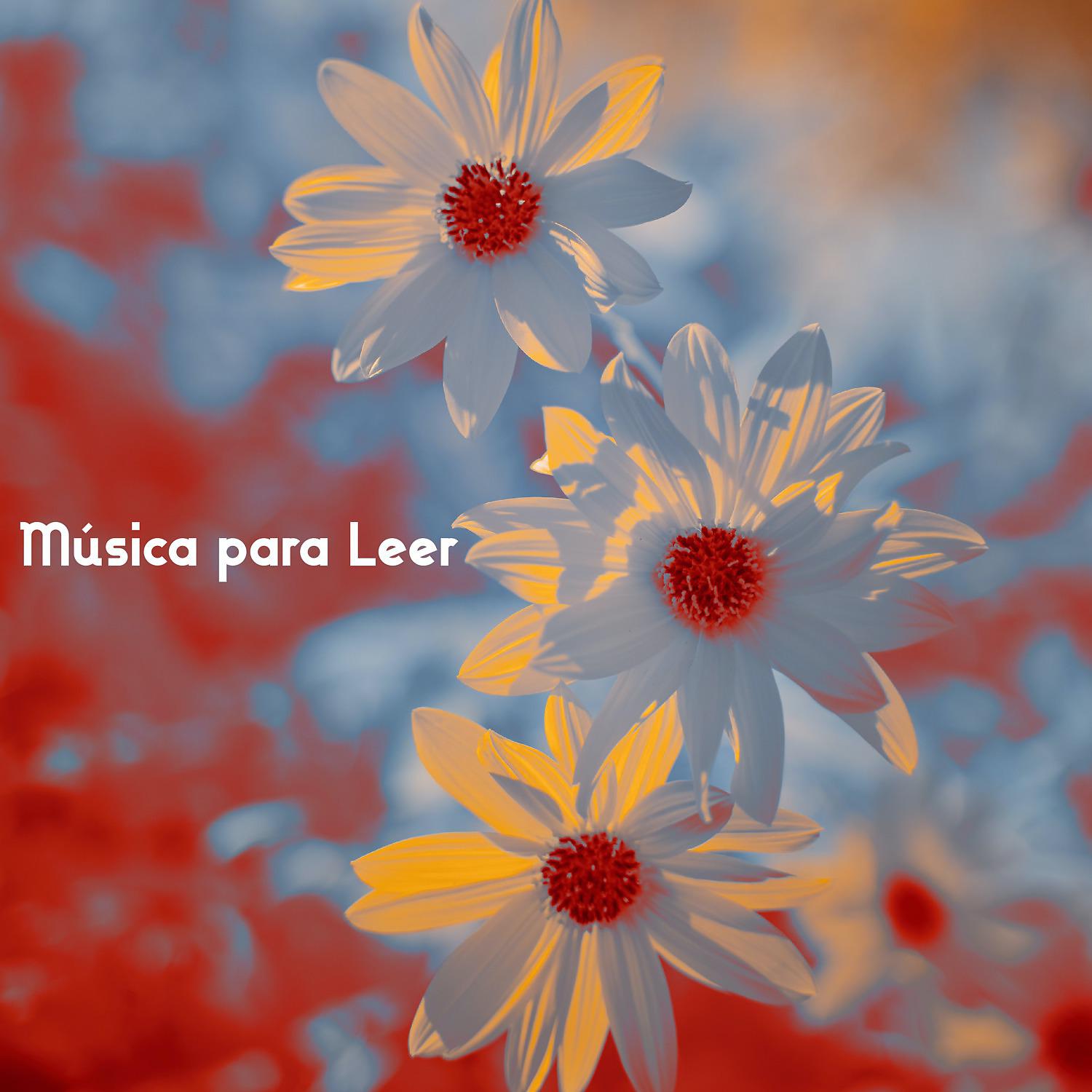 Постер альбома Música para Leer