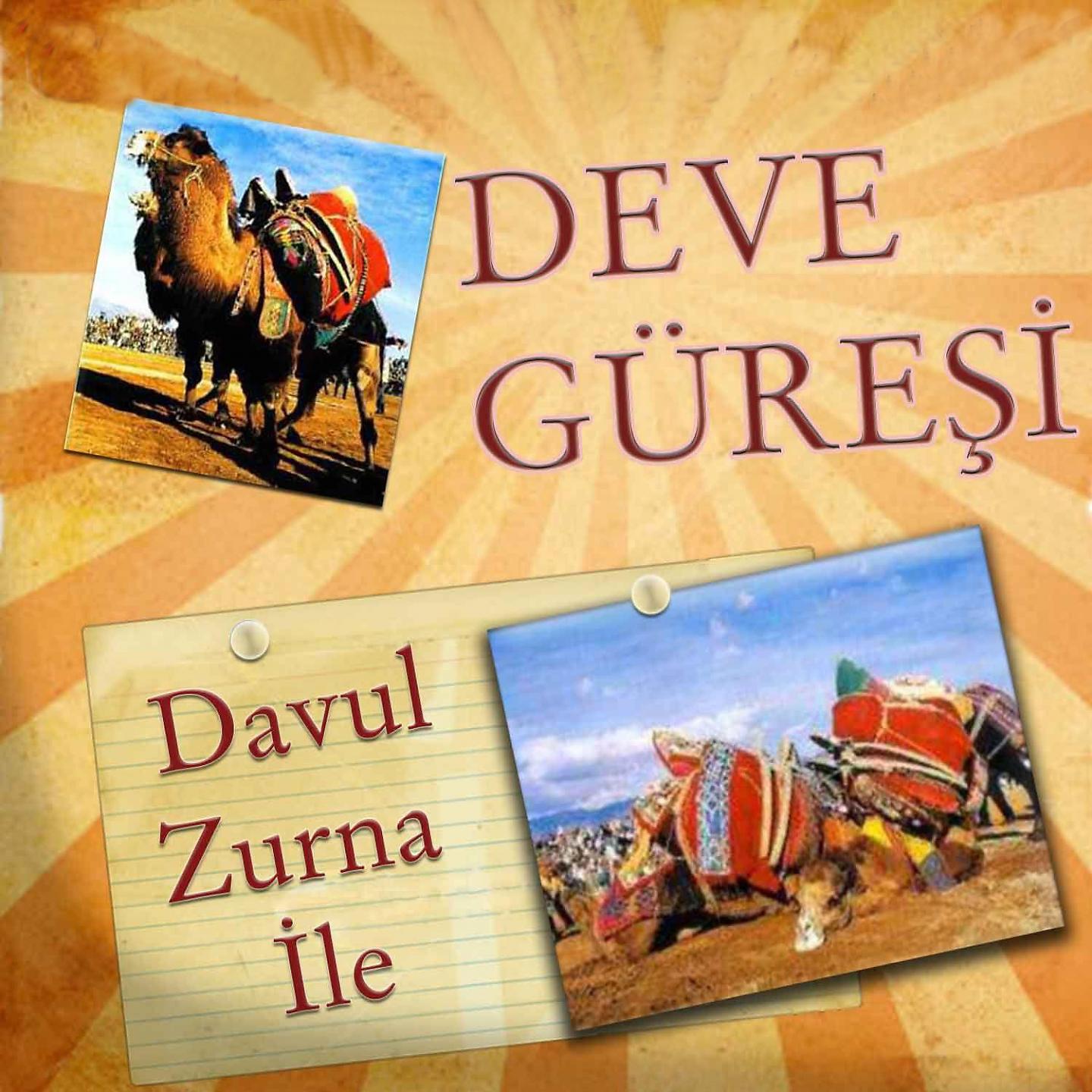 Постер альбома Davul Zurna İle Deve Güreşi
