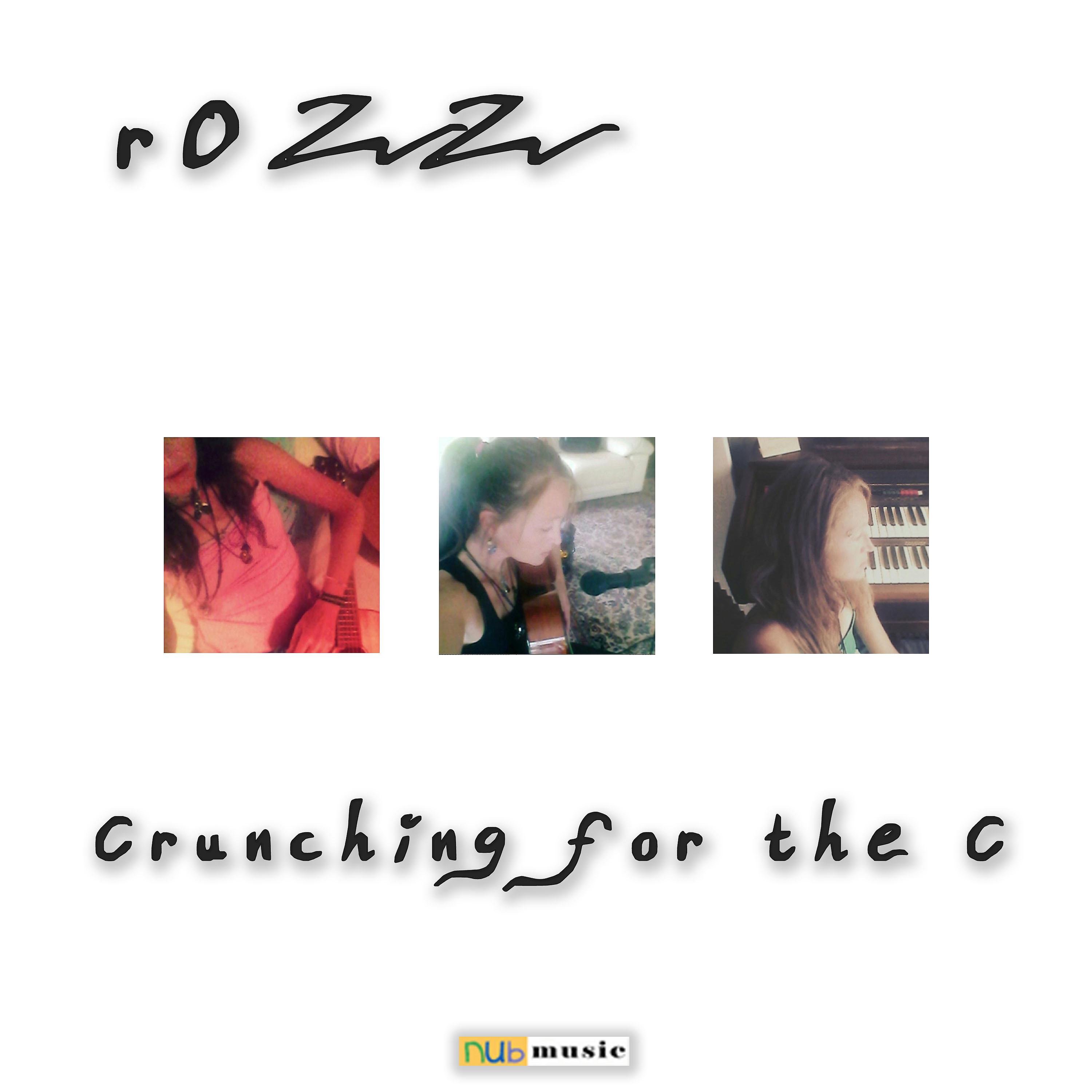 Постер альбома Crunching for the C
