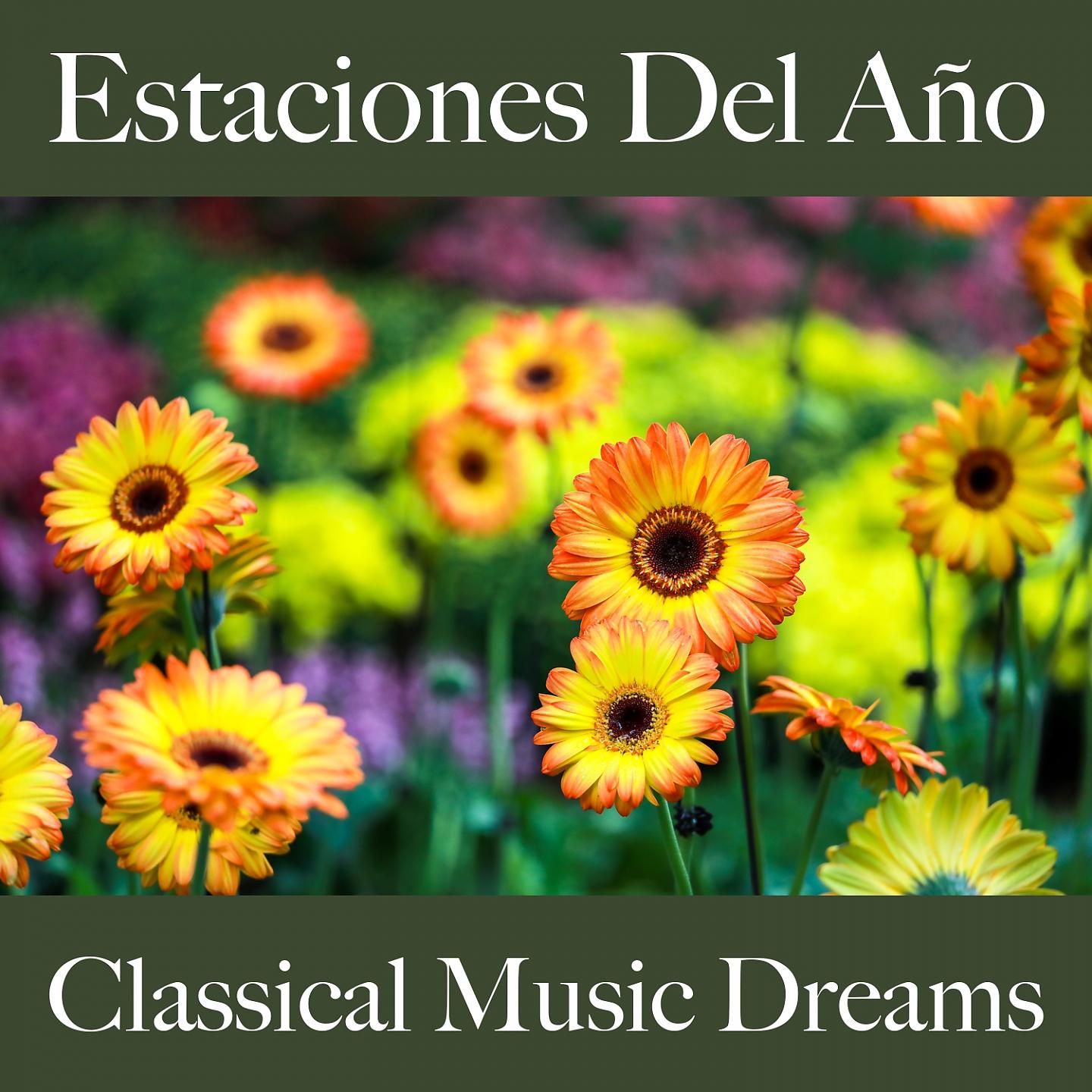 Постер альбома Estaciones Del Año: Classical Music Dreams - La Mejor Música Para Descansarse