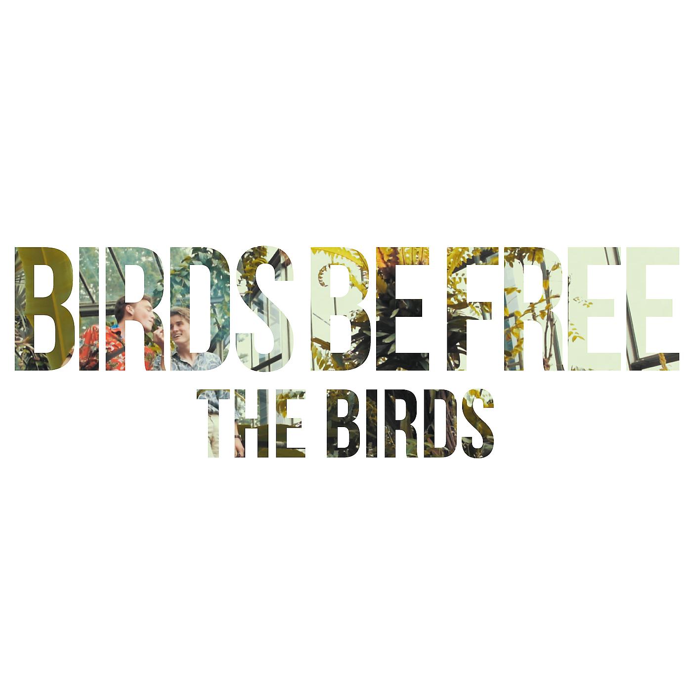 Постер альбома Birds Be Free