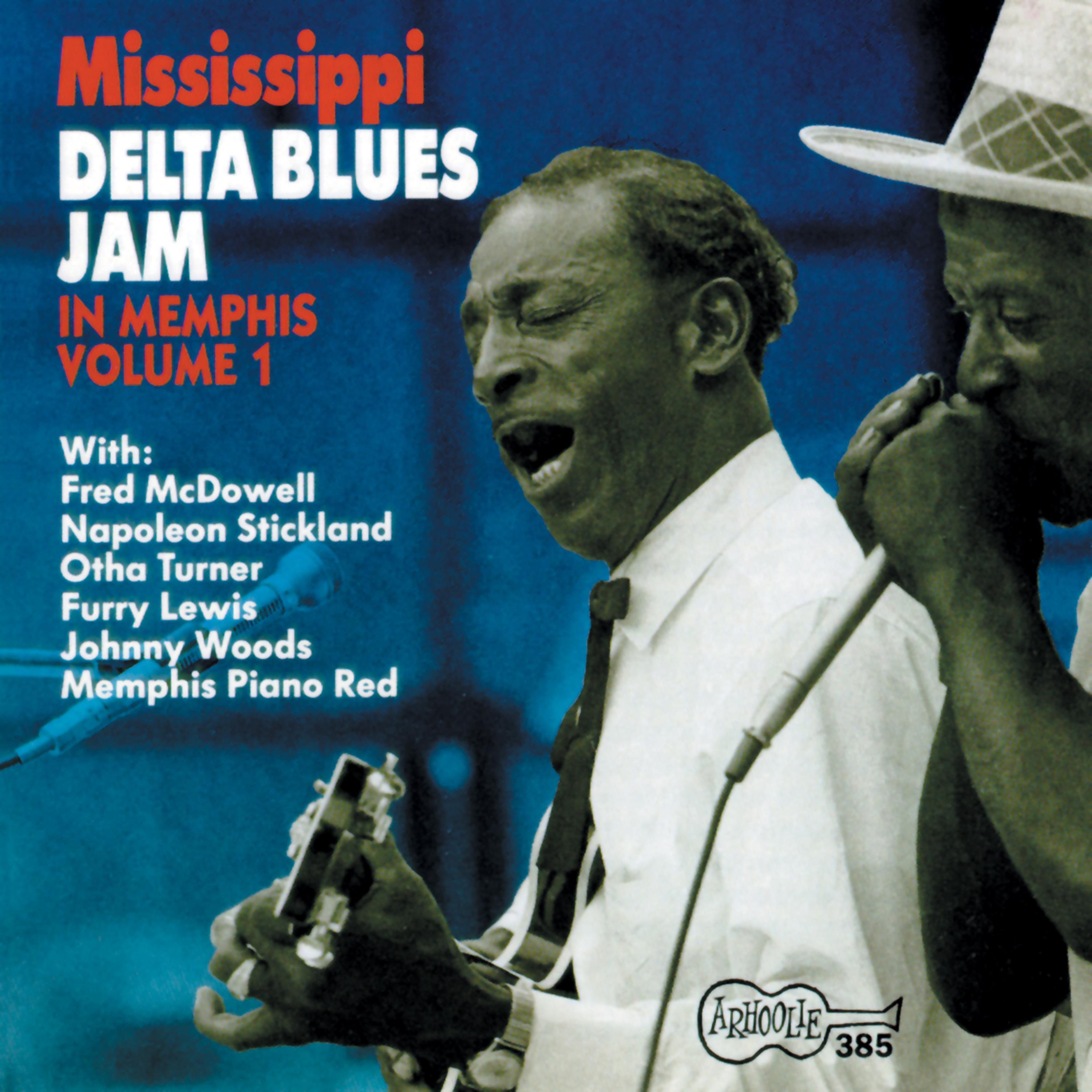 Постер альбома Mississippi Delta Blues Jam in Memphis, Vol. 1