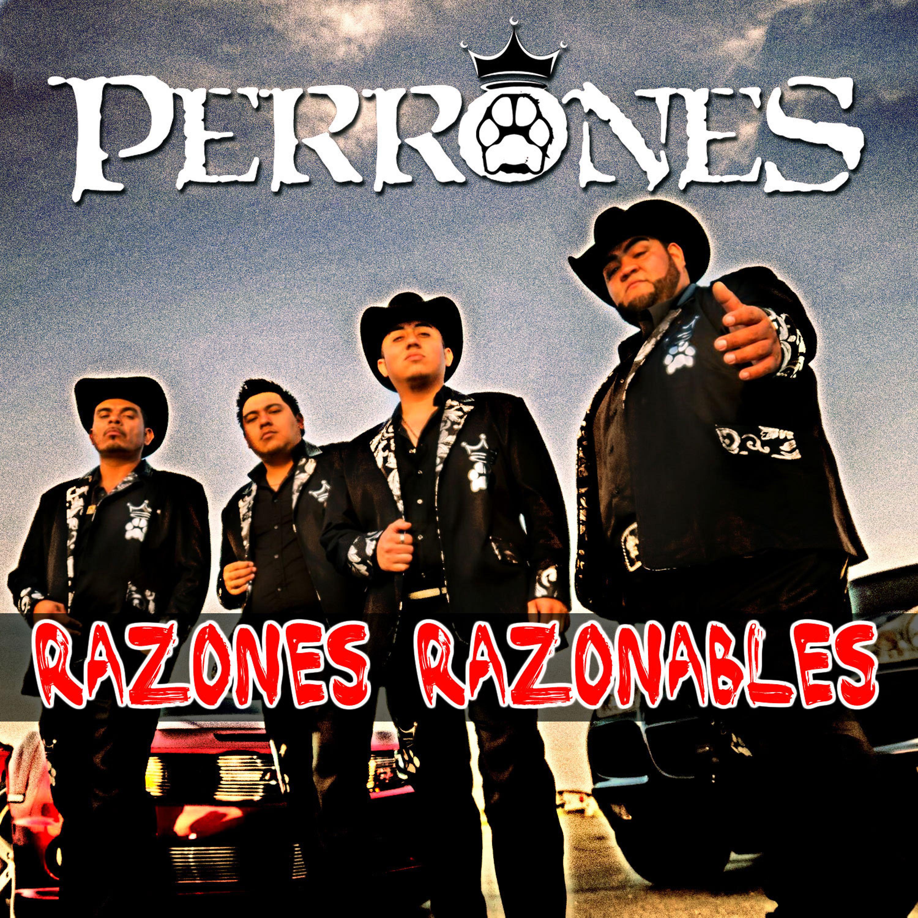 Постер альбома Razones Razonables