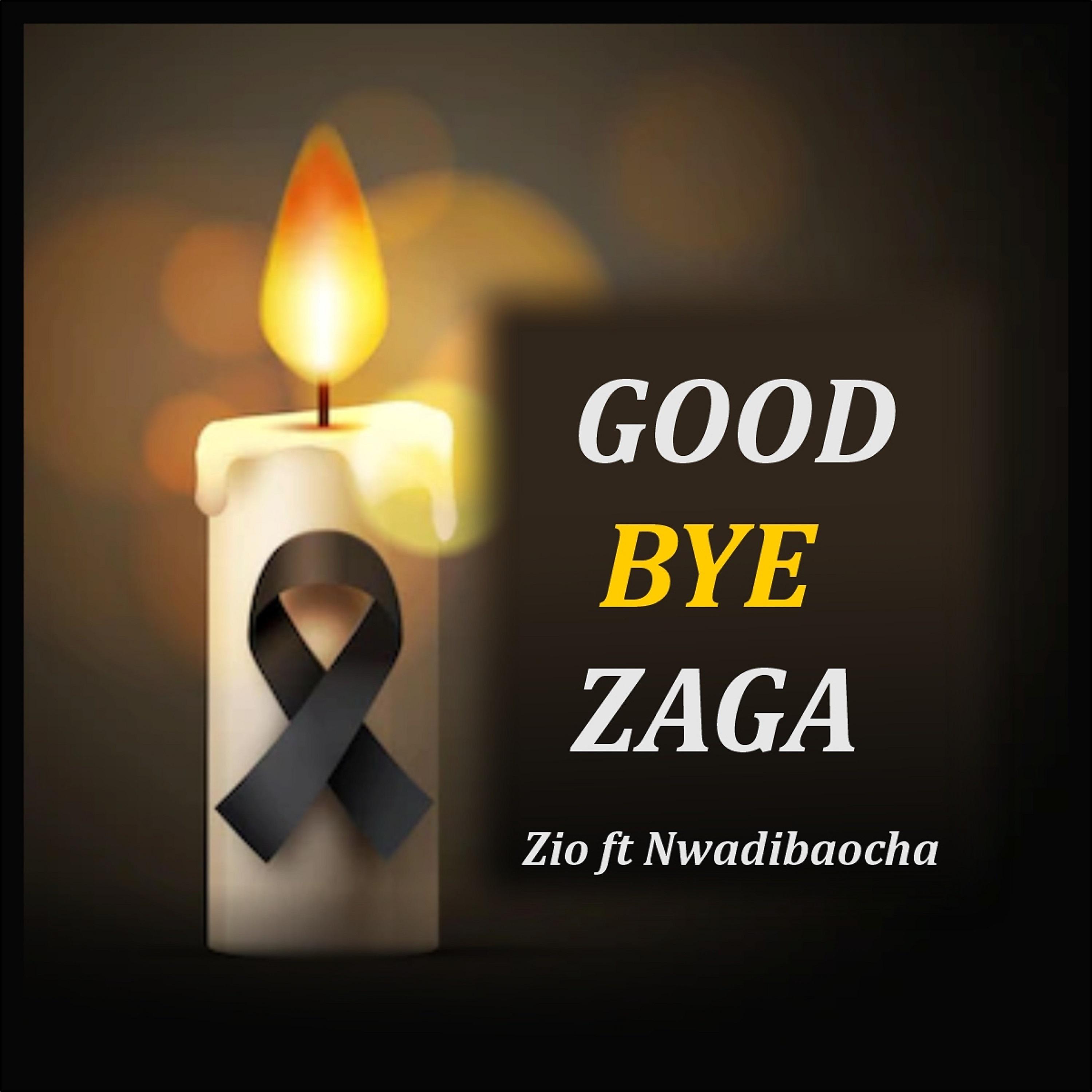 Постер альбома Good Bye Zaga
