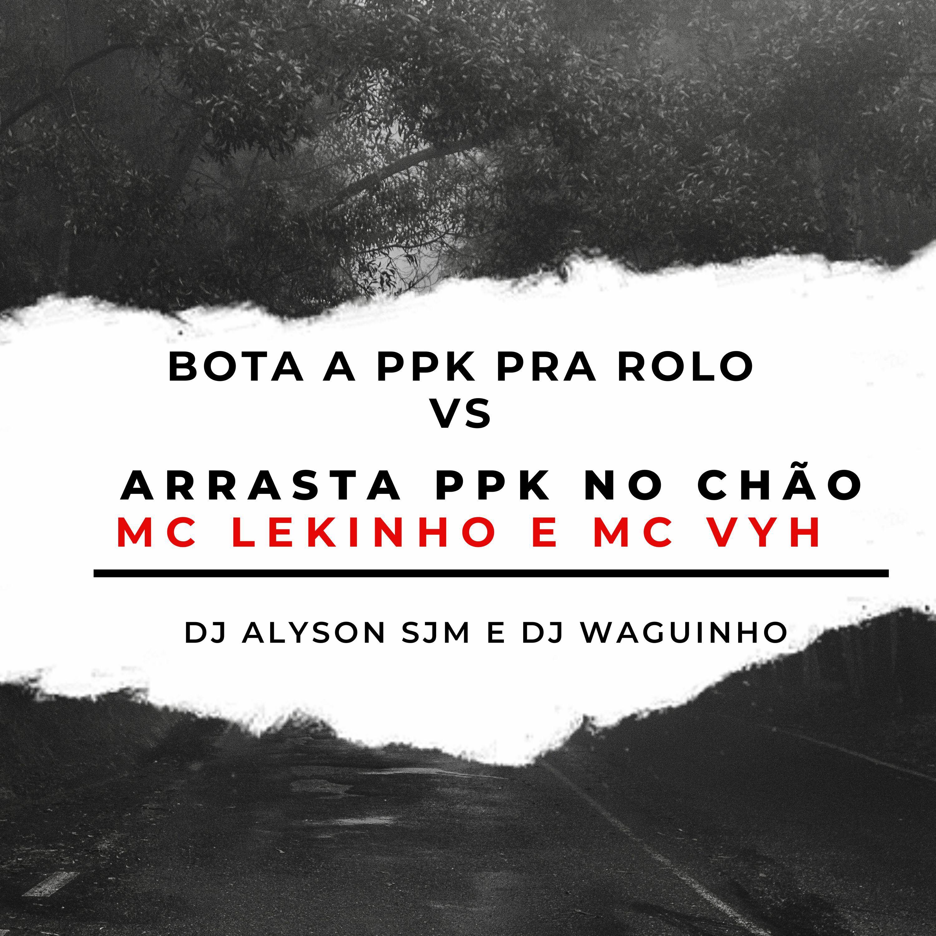 Постер альбома Bota a Ppk pra Rolo Vs Arrasta Ppk no Chão