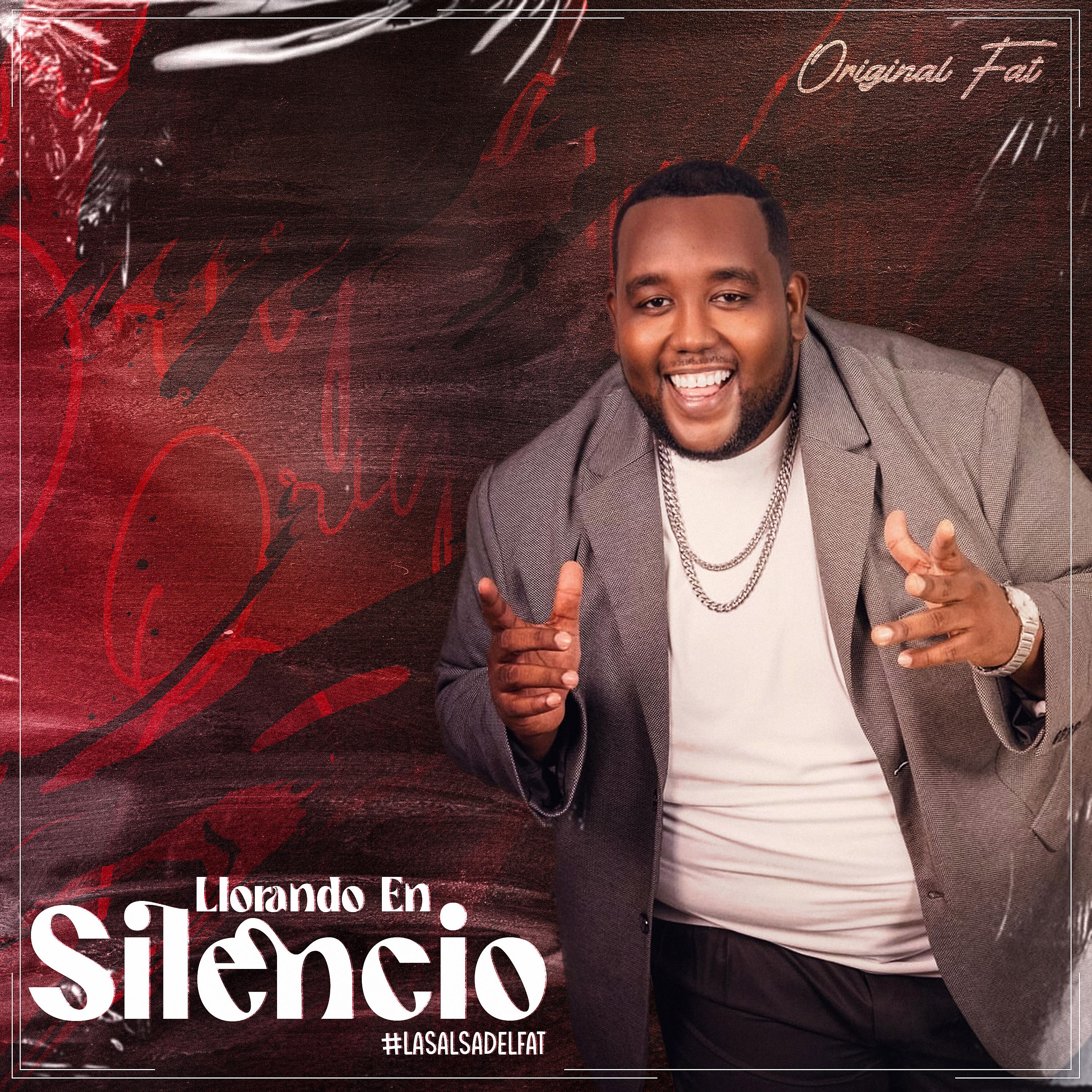 Постер альбома Llorando en Silencio