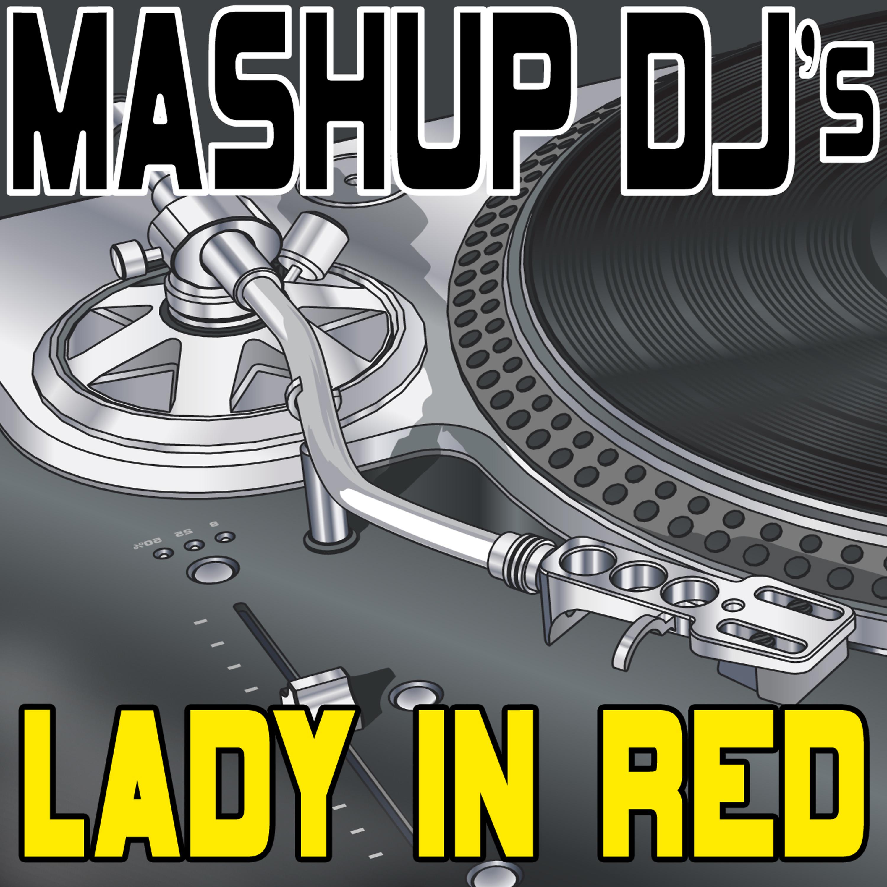 Постер альбома Lady In Red (Remix Tools For Mash-Ups)
