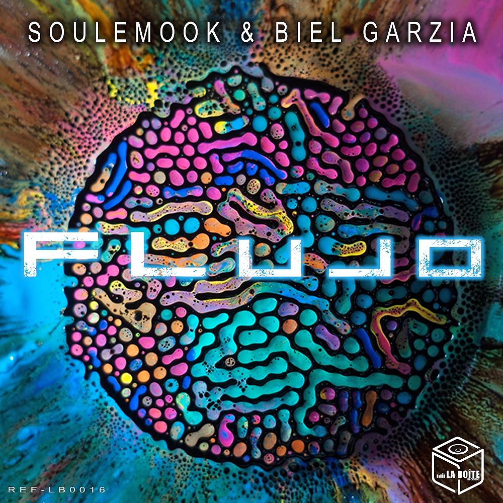 Постер альбома Flujo