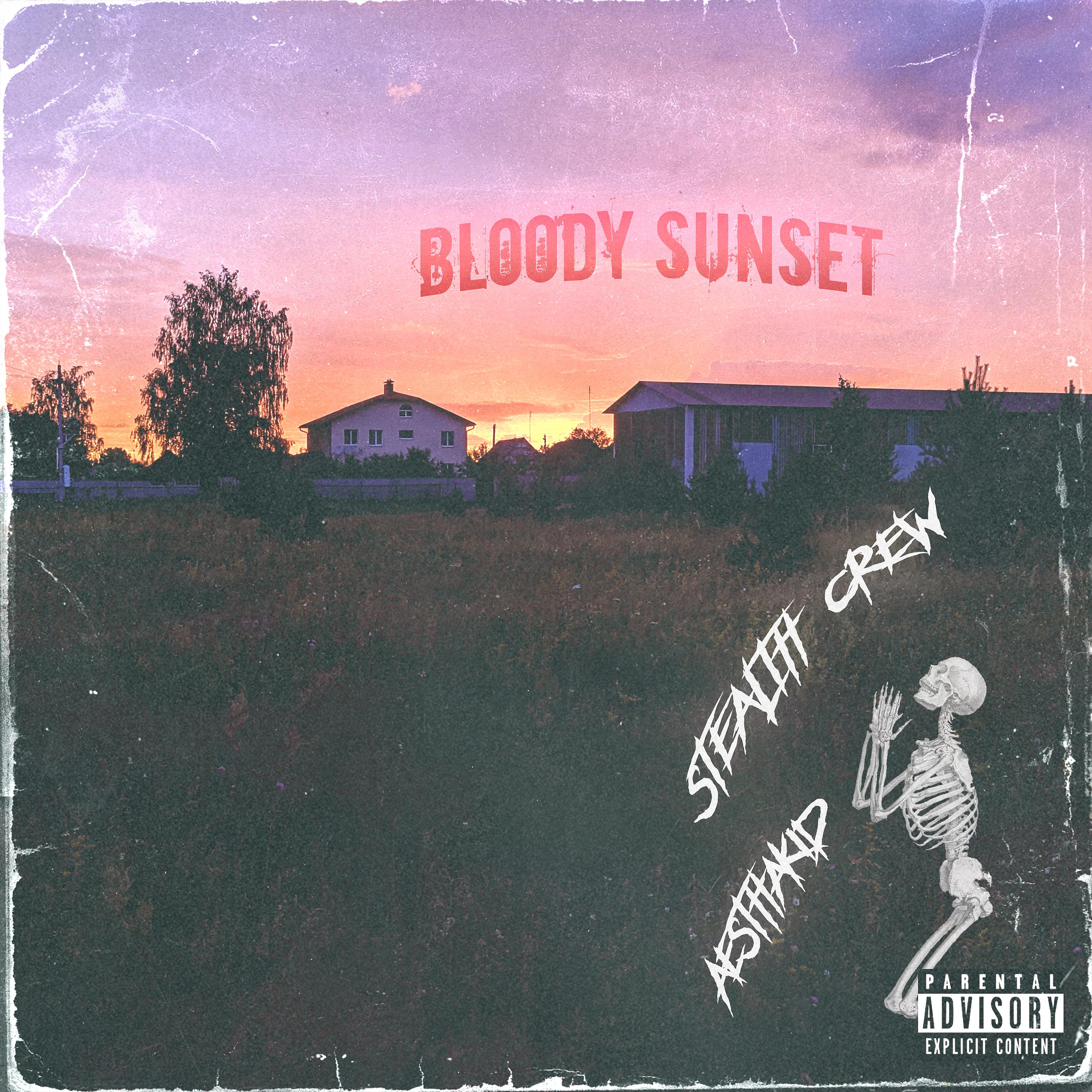 Постер альбома Bloody Sunset