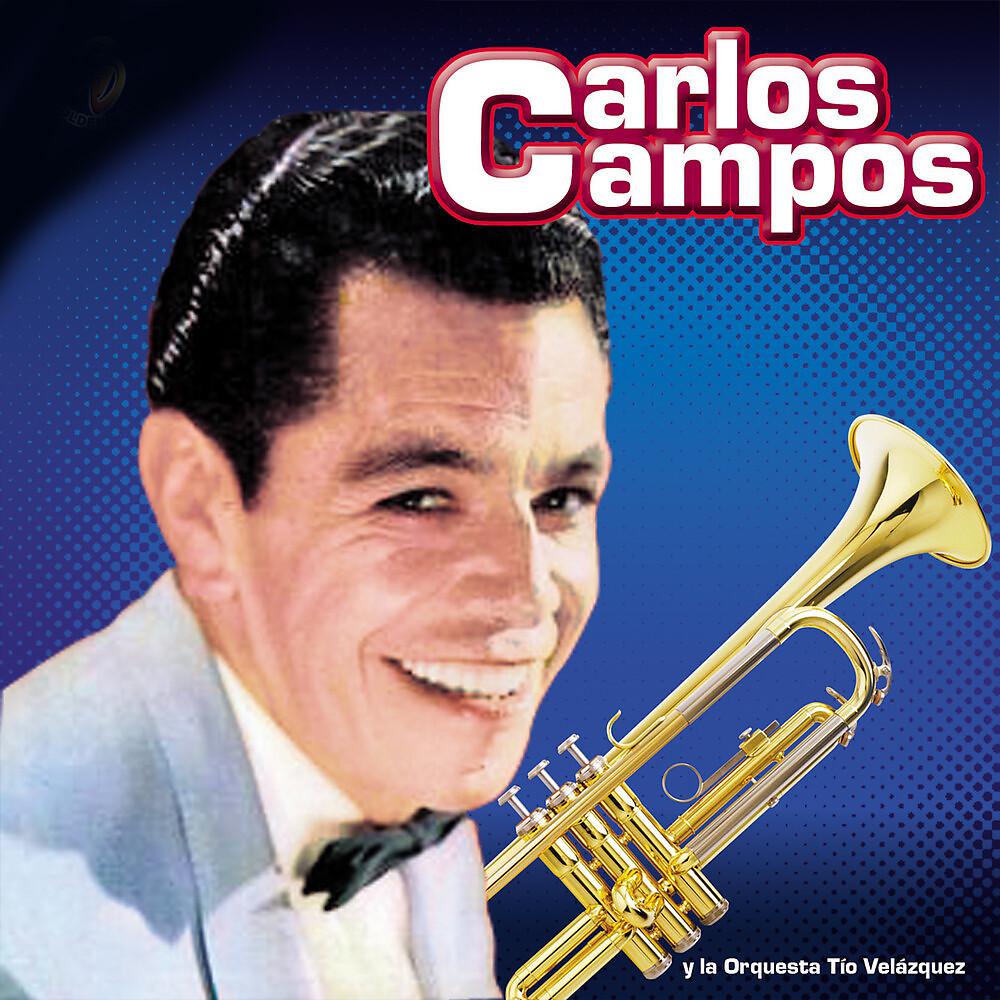 Постер альбома Carlos Campos Danzones