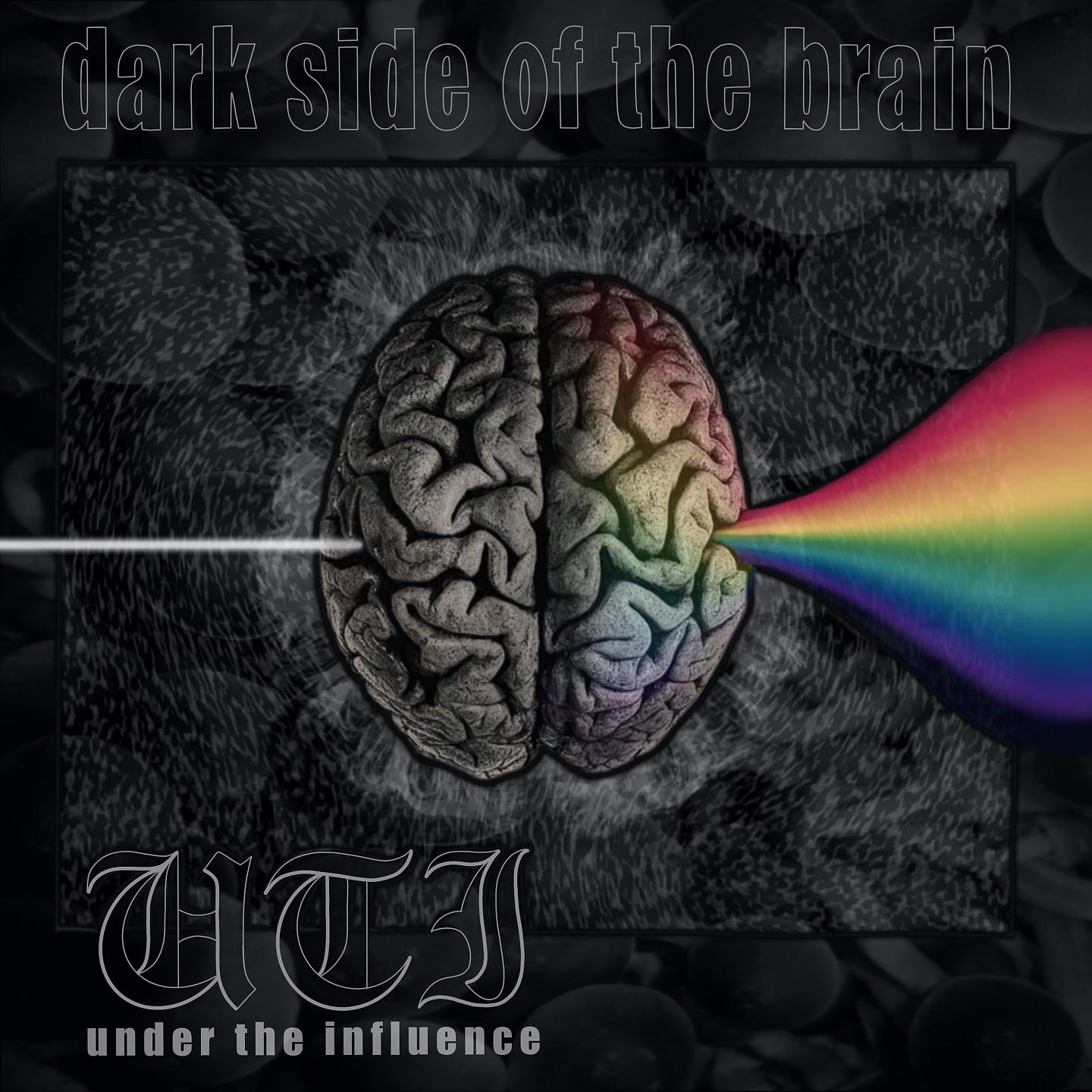 Постер альбома Dark Side of the Brain