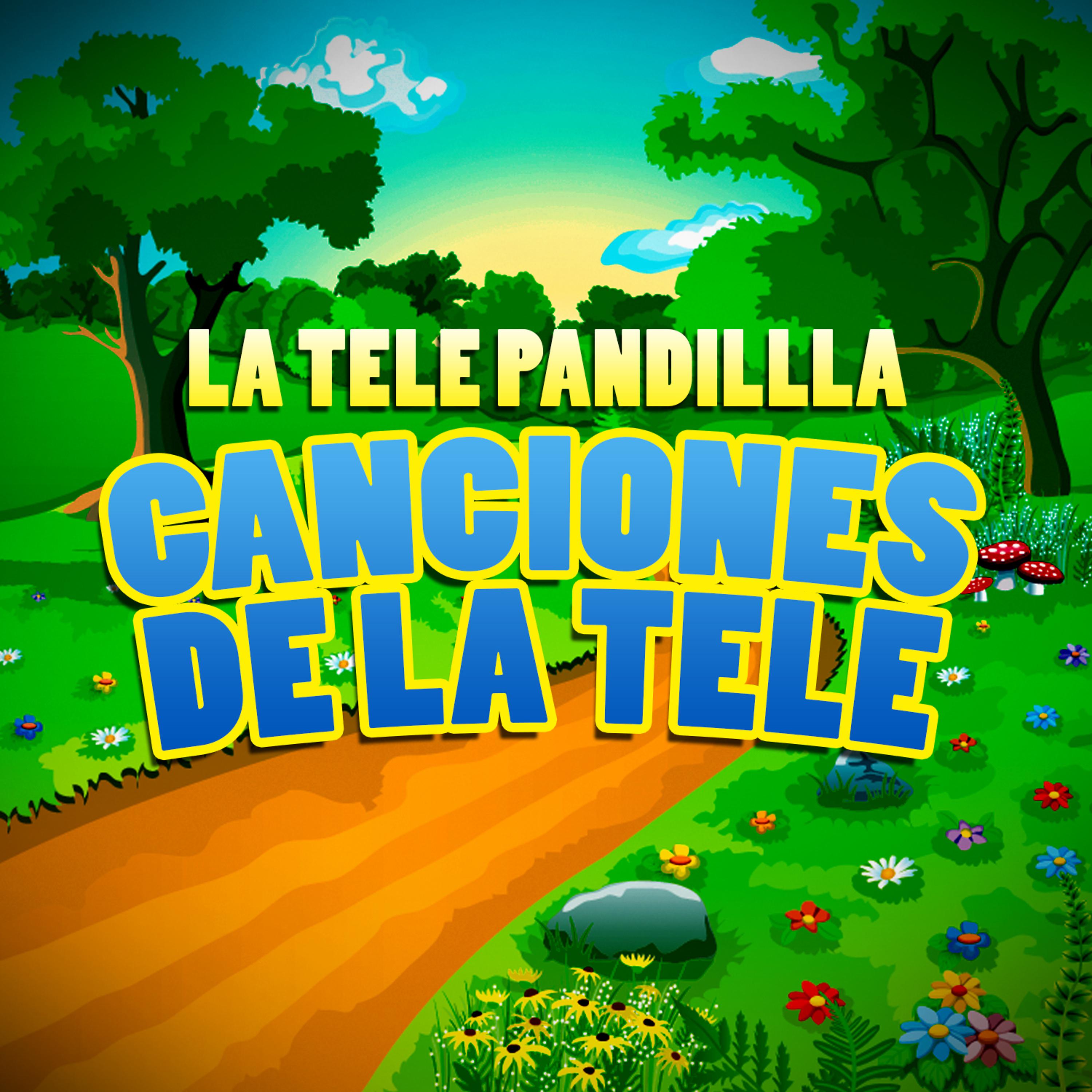 Постер альбома Canciones de la Tele