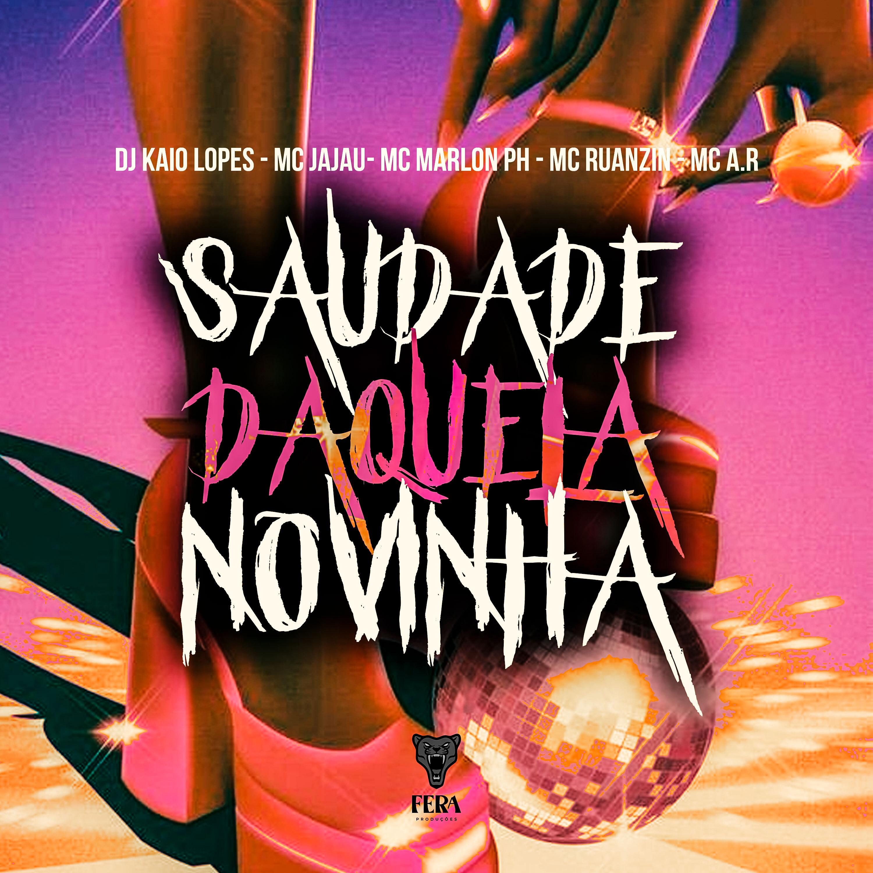 Постер альбома Saudade Daquela Novinha
