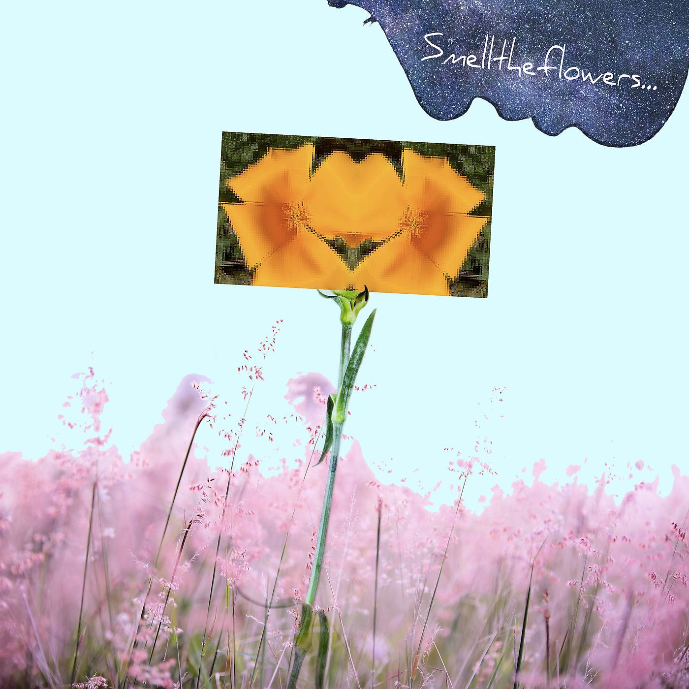 Постер альбома Smelltheflowers...