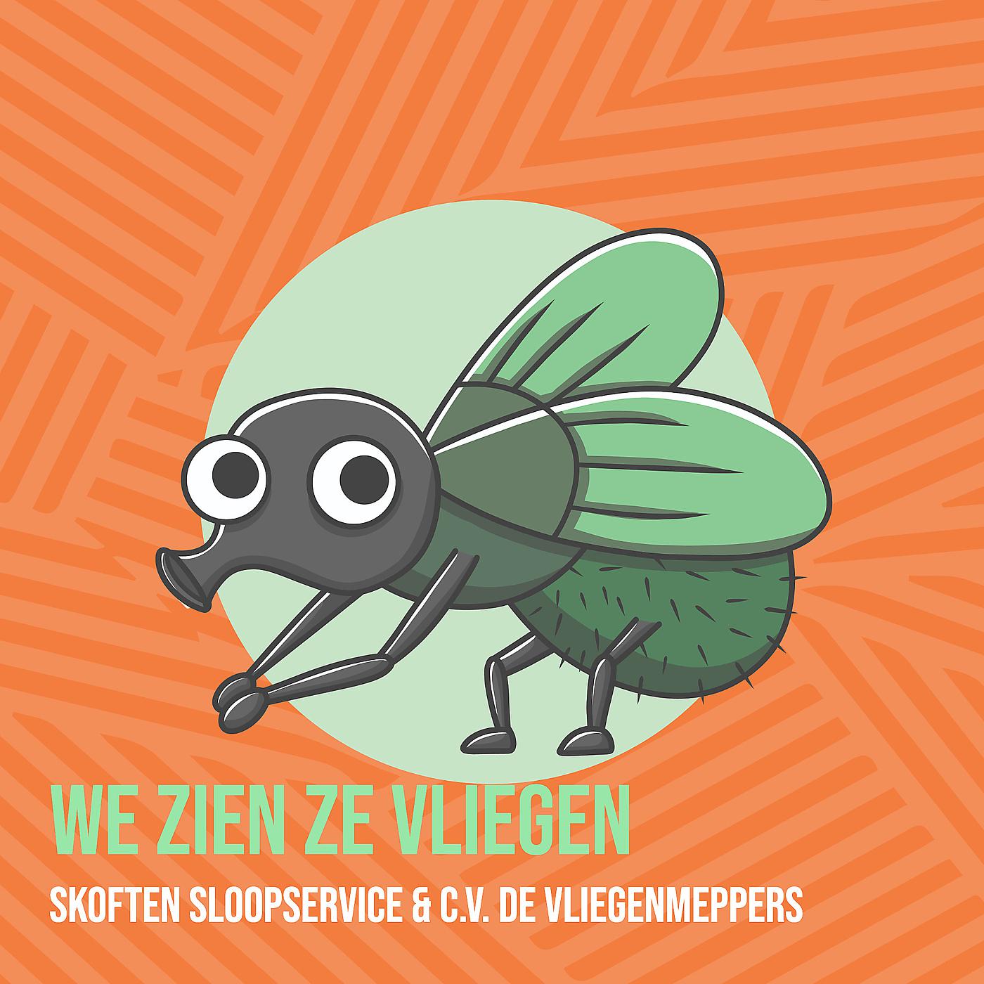 Постер альбома We Zien Ze Vliegen