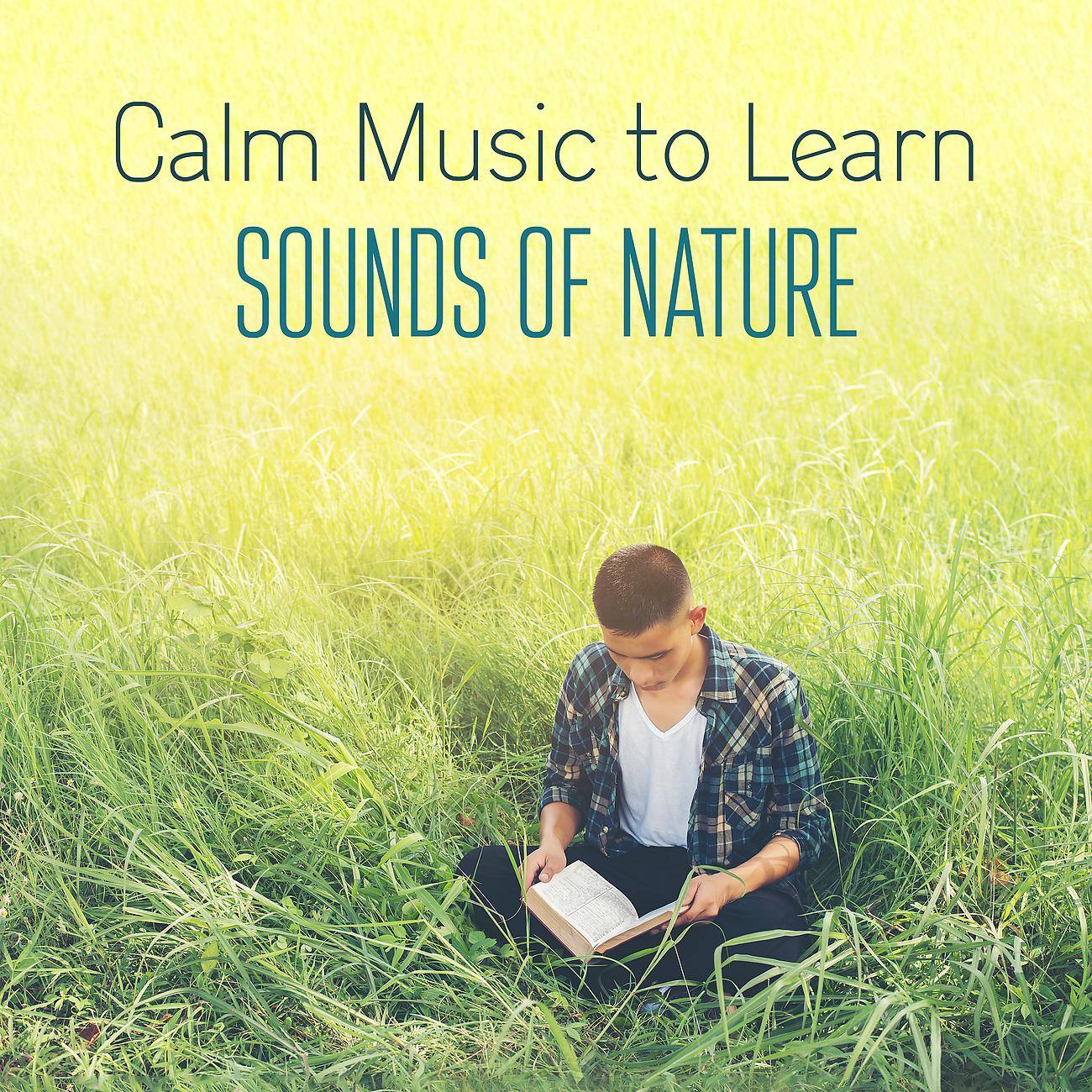 Постер альбома Calm Music to Learn with the Sounds of Nature. Study with Instrumental Music