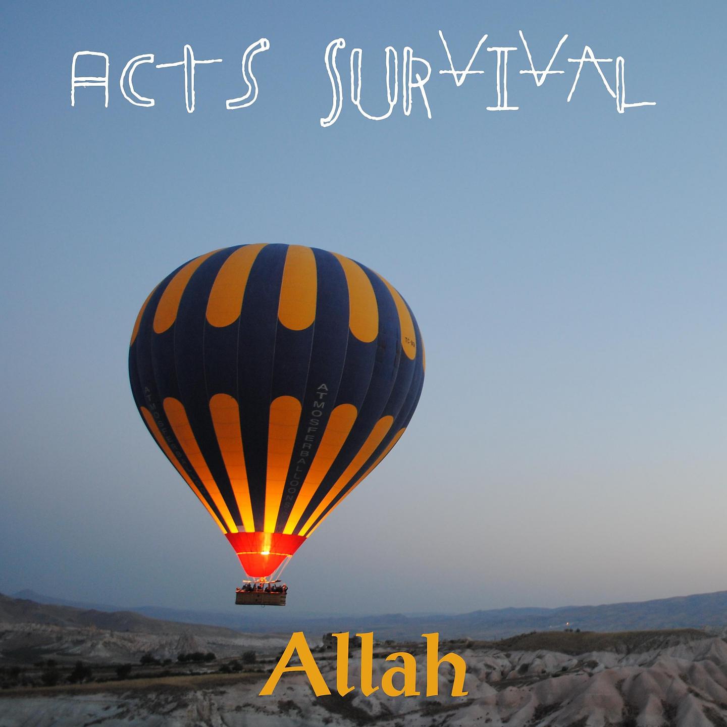 Постер альбома Acts Survival